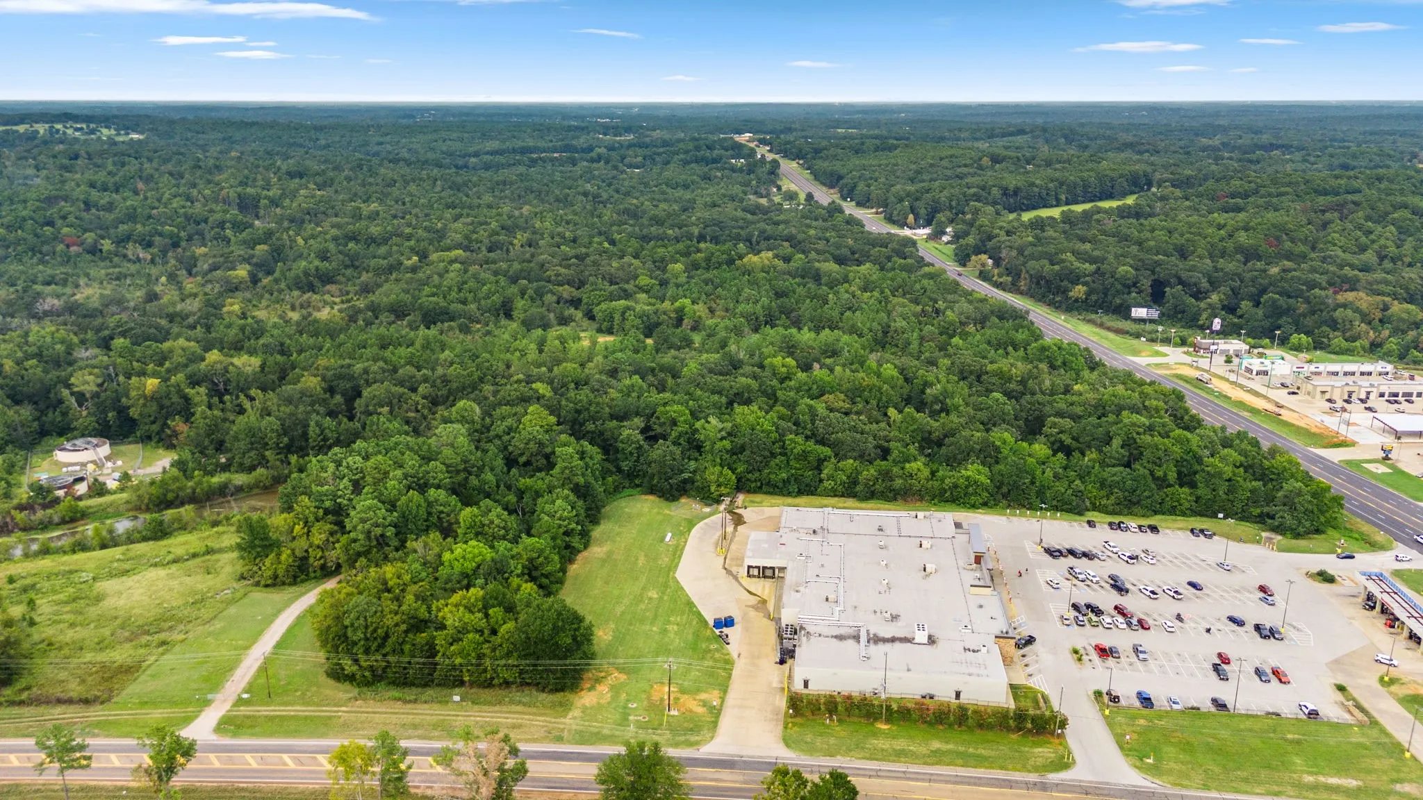 Aerial view of a forest