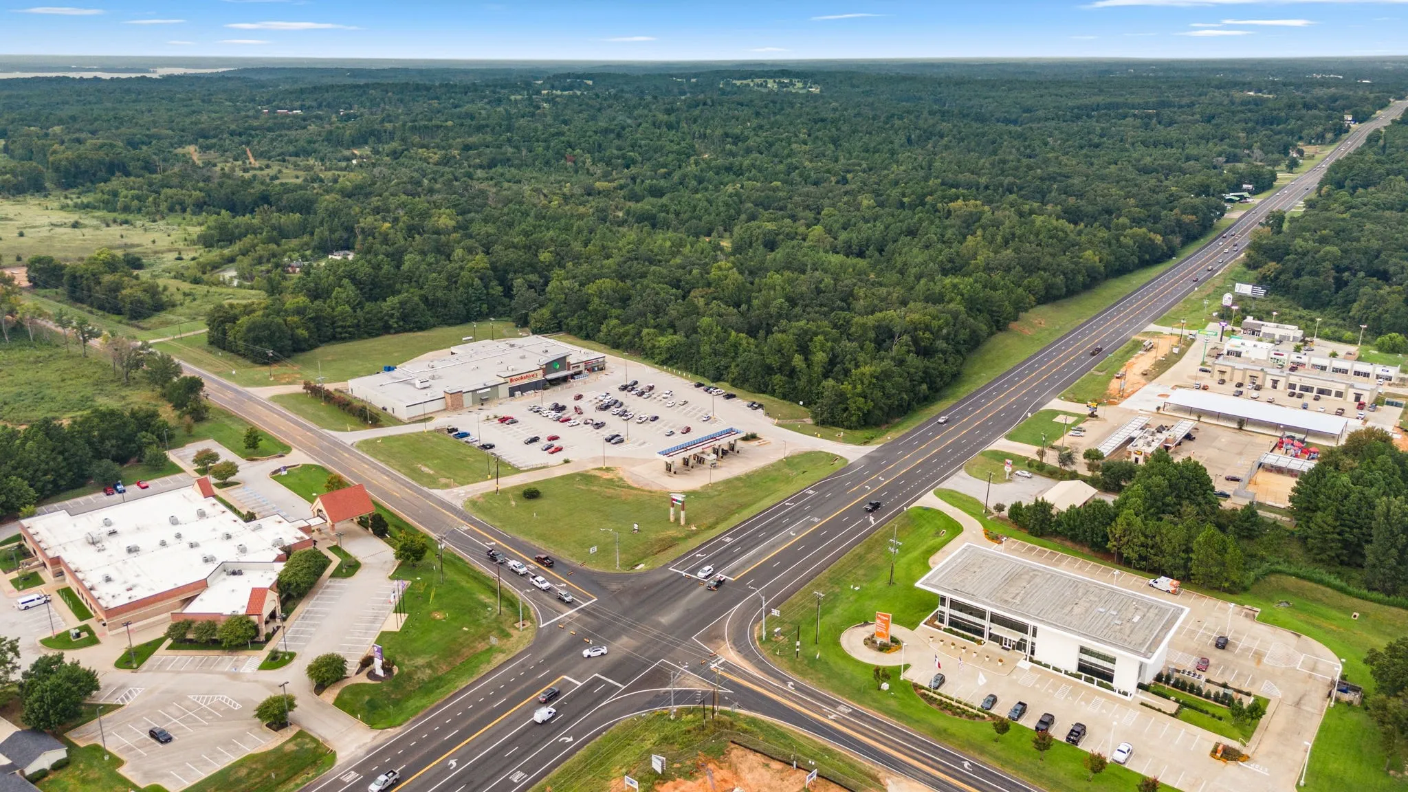 Drone / aerial view of a forest