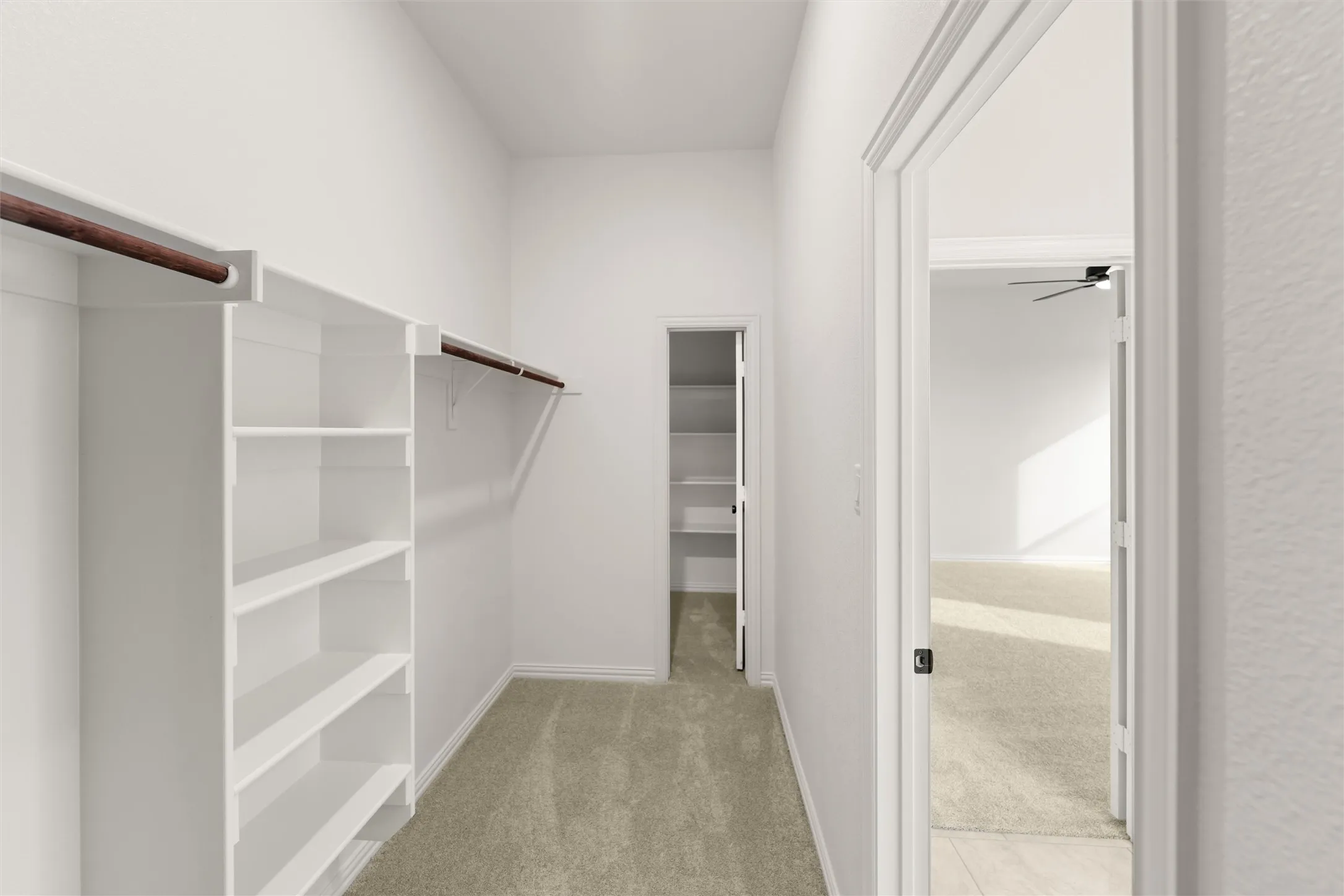 Walk in closet with light carpet