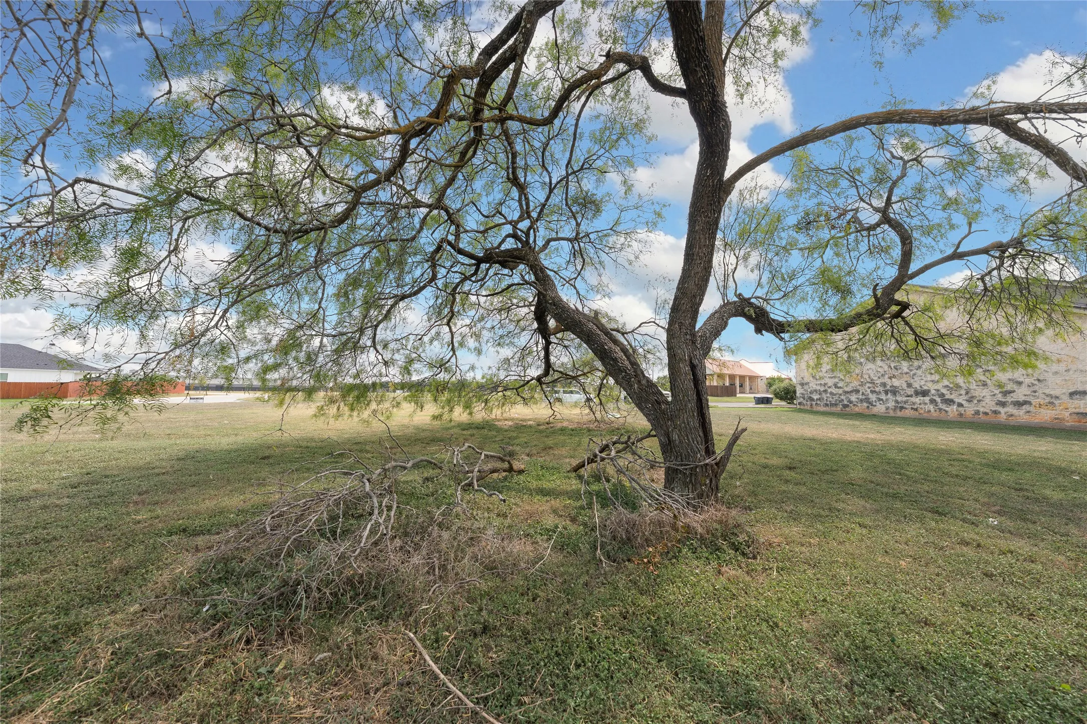 View of grassy yard