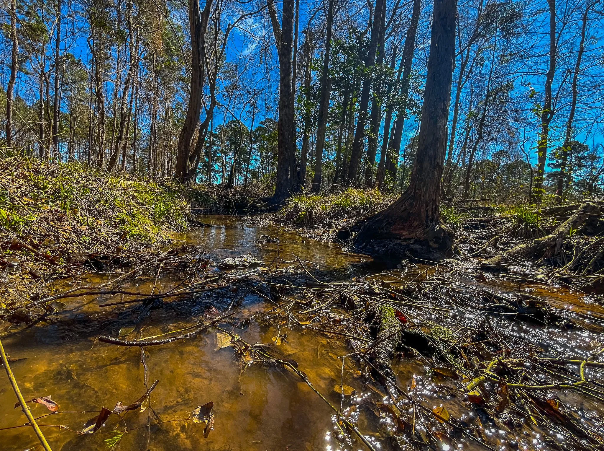 Unimproved Land For Sale in Cherokee County , NW County Road 1713, Jacksonville, Texas 75766, 0, 0, Garage spaces, 0 Sqft, built in 0, mls#21080094, Real Estate Agent in Jacksonville, Homes For Sale in Cherokee county, Homes For Sale in Jacksonville, Realtor in Jacksonville Texas, Real Estate Brokerage Independent Realty Texas, Luminita Cordes Realtor