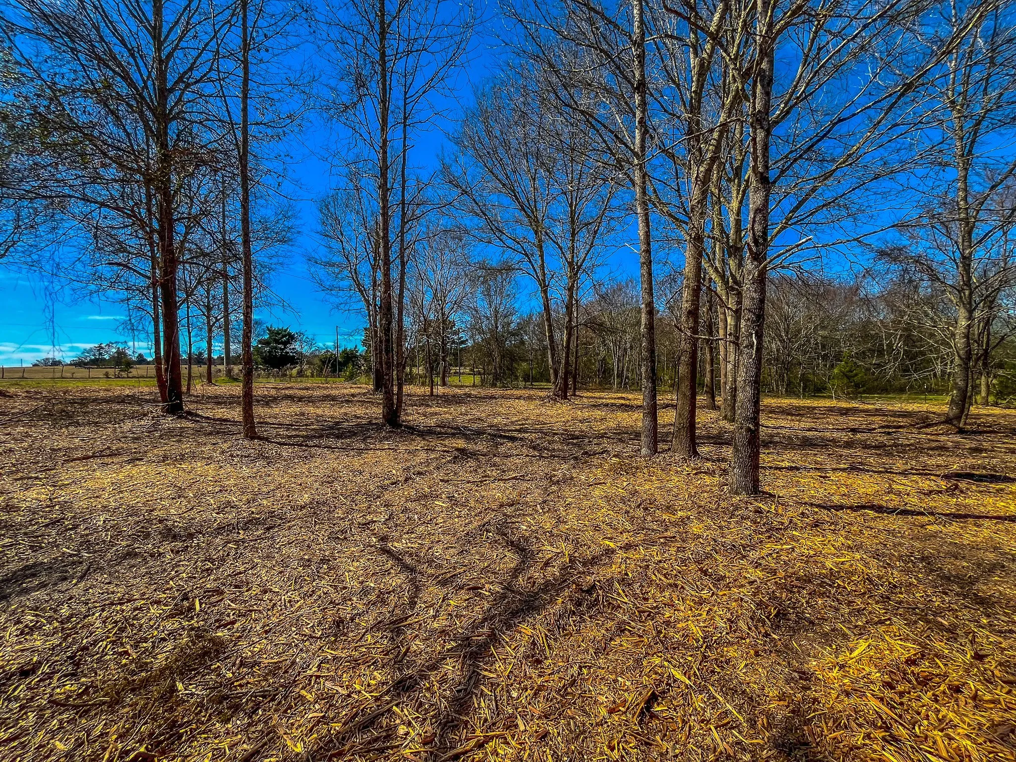 Unimproved Land For Sale in Cherokee County , NW County Road 1713, Jacksonville, Texas 75766, 0, 0, Garage spaces, 0 Sqft, built in 0, mls#21080094, Real Estate Agent in Jacksonville, Homes For Sale in Cherokee county, Homes For Sale in Jacksonville, Realtor in Jacksonville Texas, Real Estate Brokerage Independent Realty Texas, Luminita Cordes Realtor