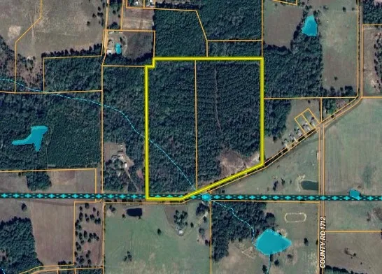 Unimproved Land For Sale in Cherokee County , NW County Road 1713, Jacksonville, Texas 75766, 0, 0, Garage spaces, 0 Sqft, built in 0, mls#21080094, Real Estate Agent in Jacksonville, Homes For Sale in Cherokee county, Homes For Sale in Jacksonville, Realtor in Jacksonville Texas, Real Estate Brokerage Independent Realty Texas, Luminita Cordes Realtor