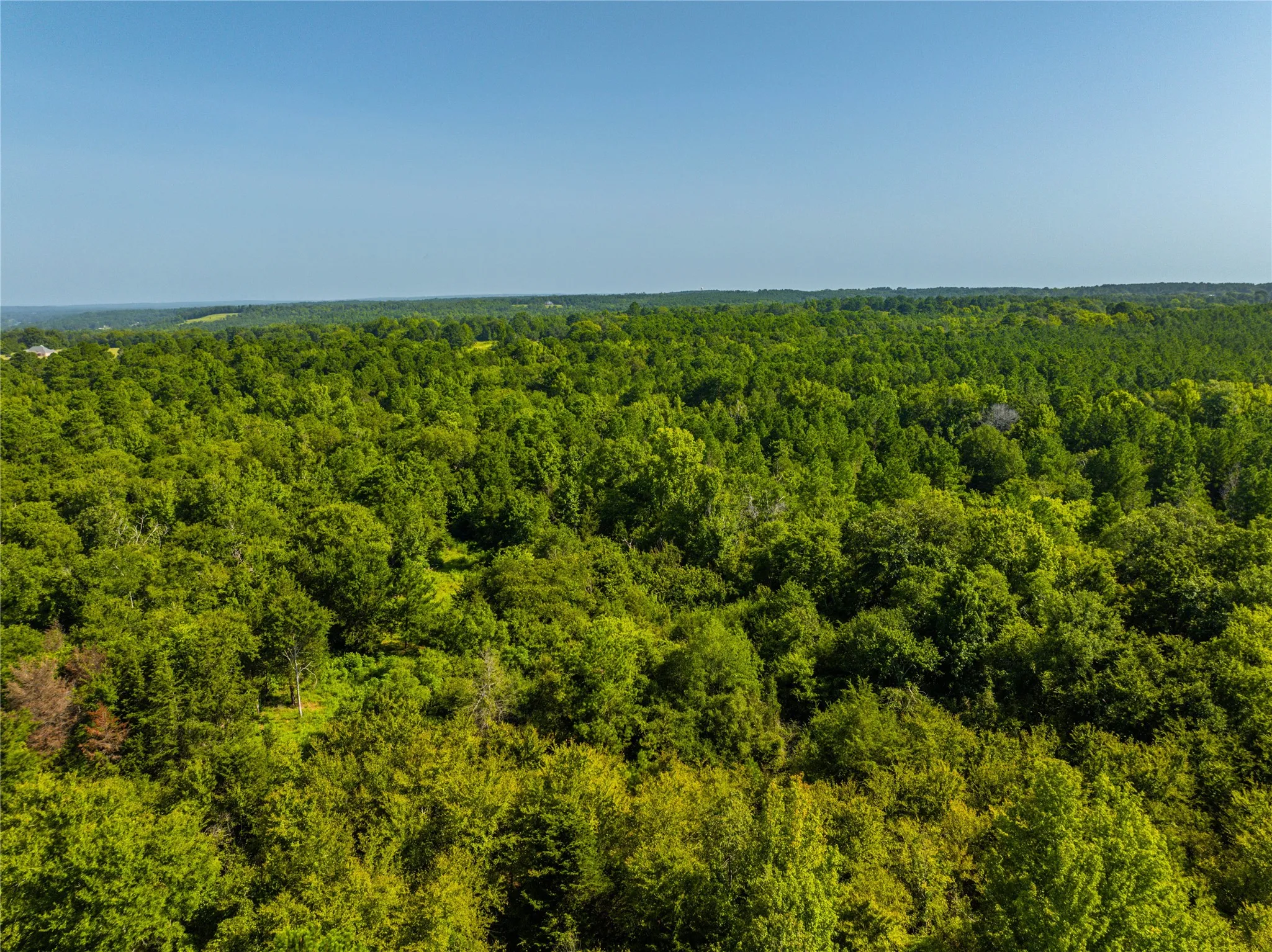 Unimproved Land For Sale in Cherokee County , NW County Road 1713, Jacksonville, Texas 75766, 0, 0, Garage spaces, 0 Sqft, built in 0, mls#21080094, Real Estate Agent in Jacksonville, Homes For Sale in Cherokee county, Homes For Sale in Jacksonville, Realtor in Jacksonville Texas, Real Estate Brokerage Independent Realty Texas, Luminita Cordes Realtor