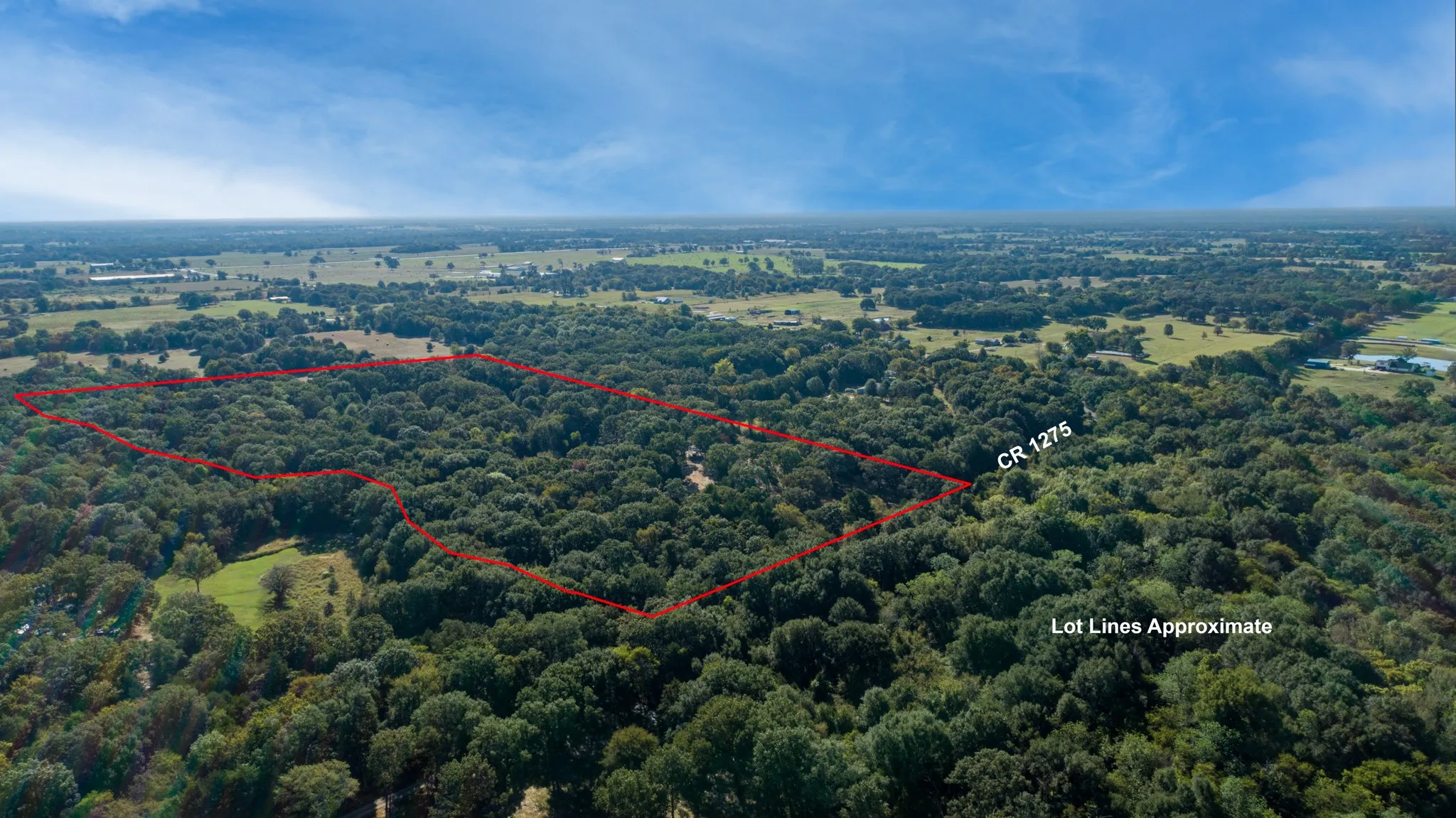 Improved Land For Sale in Rains County , 412 Rs County Road 1275, Emory, Texas 75440, 0, 0, Garage spaces, 0 Sqft, built in 1988, mls#21080290, Real Estate Agent in Emory, Homes For Sale in Rains county, Homes For Sale in Emory, Realtor in Emory Texas, Real Estate Brokerage Independent Realty Texas, Luminita Cordes Realtor