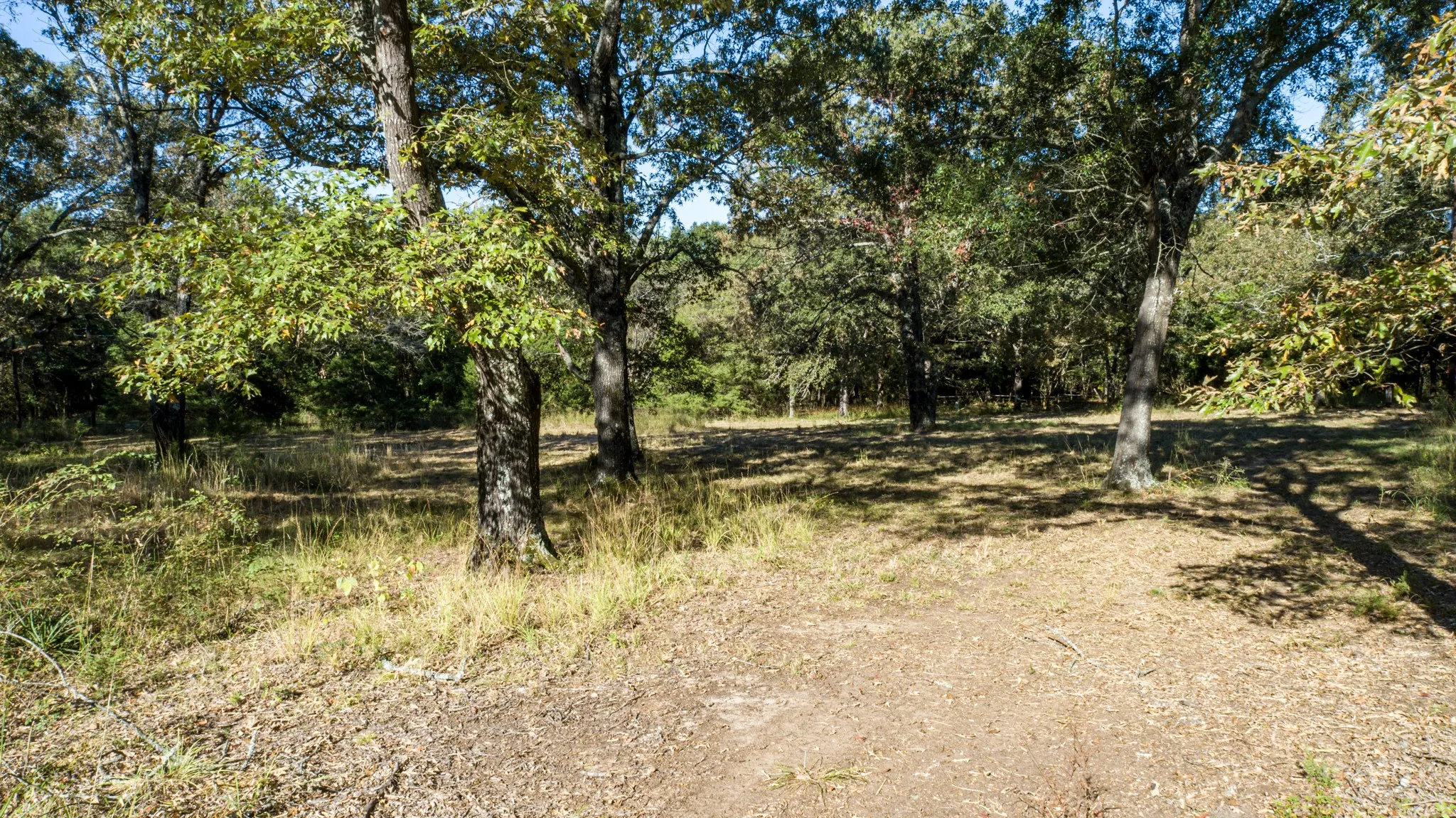 Improved Land For Sale in Rains County , 412 Rs County Road 1275, Emory, Texas 75440, 0, 0, Garage spaces, 0 Sqft, built in 1988, mls#21080290, Real Estate Agent in Emory, Homes For Sale in Rains county, Homes For Sale in Emory, Realtor in Emory Texas, Real Estate Brokerage Independent Realty Texas, Luminita Cordes Realtor