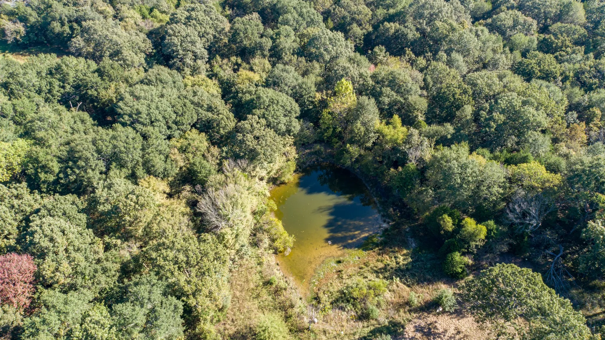 Improved Land For Sale in Rains County , 412 Rs County Road 1275, Emory, Texas 75440, 0, 0, Garage spaces, 0 Sqft, built in 1988, mls#21080290, Real Estate Agent in Emory, Homes For Sale in Rains county, Homes For Sale in Emory, Realtor in Emory Texas, Real Estate Brokerage Independent Realty Texas, Luminita Cordes Realtor
