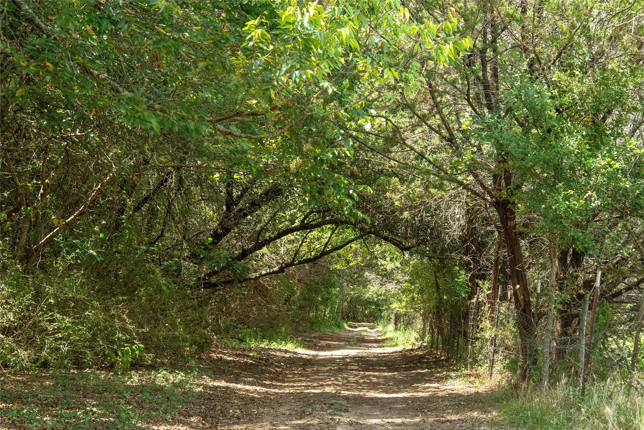 Farm For Sale in Bosque County , 395 County Road 2530, Meridian, Texas 76665, 5 Bedroom, 6 Bathroom, Garage spaces, 2,840 Sqft, built in 2016, mls#21073127, Real Estate Agent in Meridian, Homes For Sale in Bosque county, Homes For Sale in Meridian, Realtor in Meridian Texas, Real Estate Brokerage Independent Realty Texas, Luminita Cordes Realtor