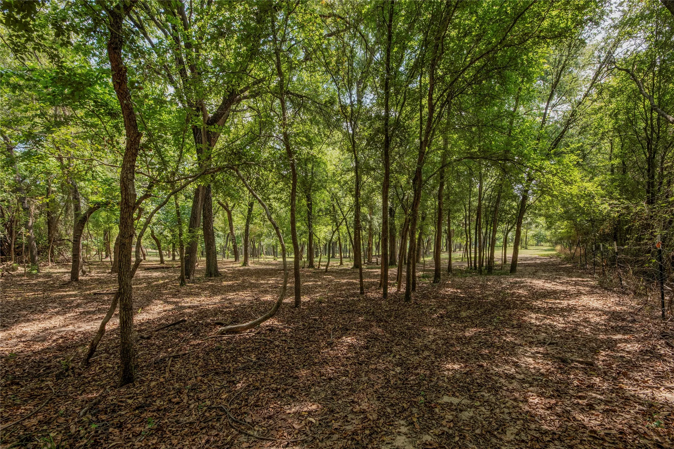 Farm For Sale in Bosque County , 395 County Road 2530, Meridian, Texas 76665, 5 Bedroom, 6 Bathroom, Garage spaces, 2,840 Sqft, built in 2016, mls#21073127, Real Estate Agent in Meridian, Homes For Sale in Bosque county, Homes For Sale in Meridian, Realtor in Meridian Texas, Real Estate Brokerage Independent Realty Texas, Luminita Cordes Realtor