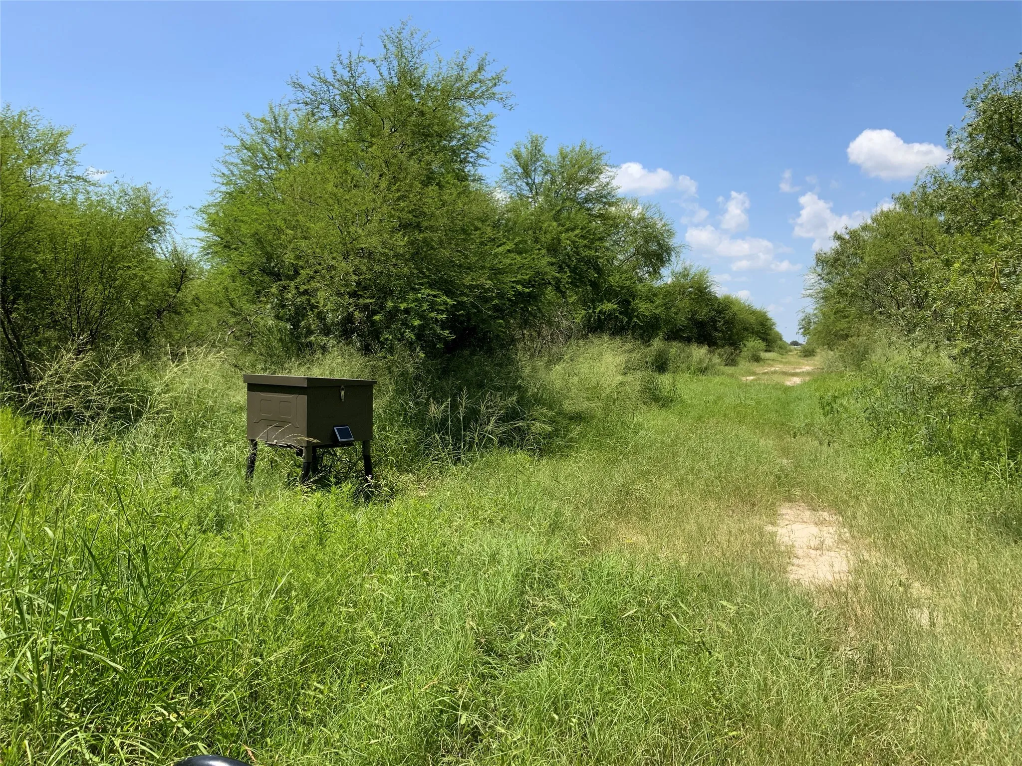 Unimproved Land For Sale in San Patricio County , 14135 County Road 1144, Sinton, Texas 78387, 0, 0, Garage spaces, 0 Sqft, built in 1950, mls#21080875, Real Estate Agent in Sinton, Homes For Sale in San Patricio county, Homes For Sale in Sinton, Realtor in Sinton Texas, Real Estate Brokerage Independent Realty Texas, Luminita Cordes Realtor