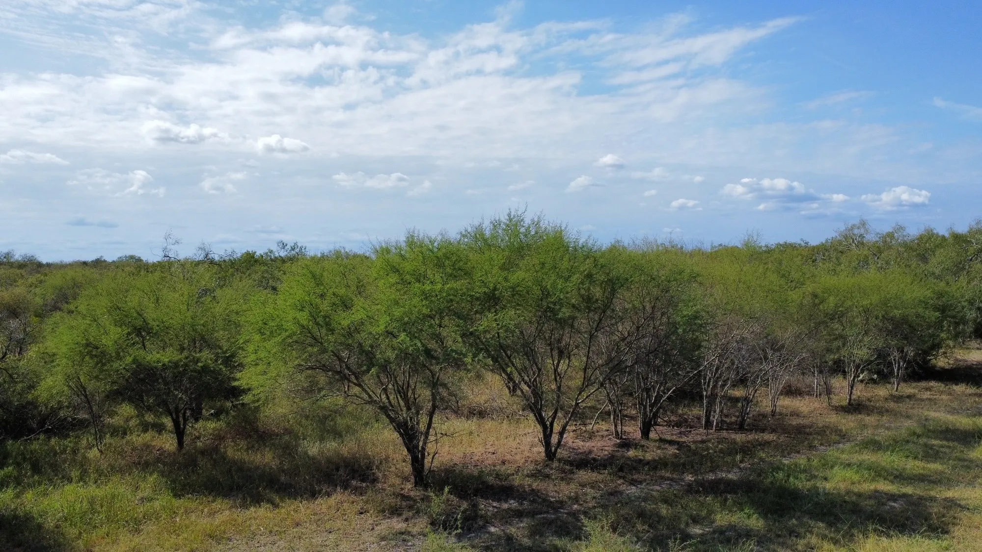 Unimproved Land For Sale in San Patricio County , 14135 County Road 1144, Sinton, Texas 78387, 0, 0, Garage spaces, 0 Sqft, built in 1950, mls#21080875, Real Estate Agent in Sinton, Homes For Sale in San Patricio county, Homes For Sale in Sinton, Realtor in Sinton Texas, Real Estate Brokerage Independent Realty Texas, Luminita Cordes Realtor