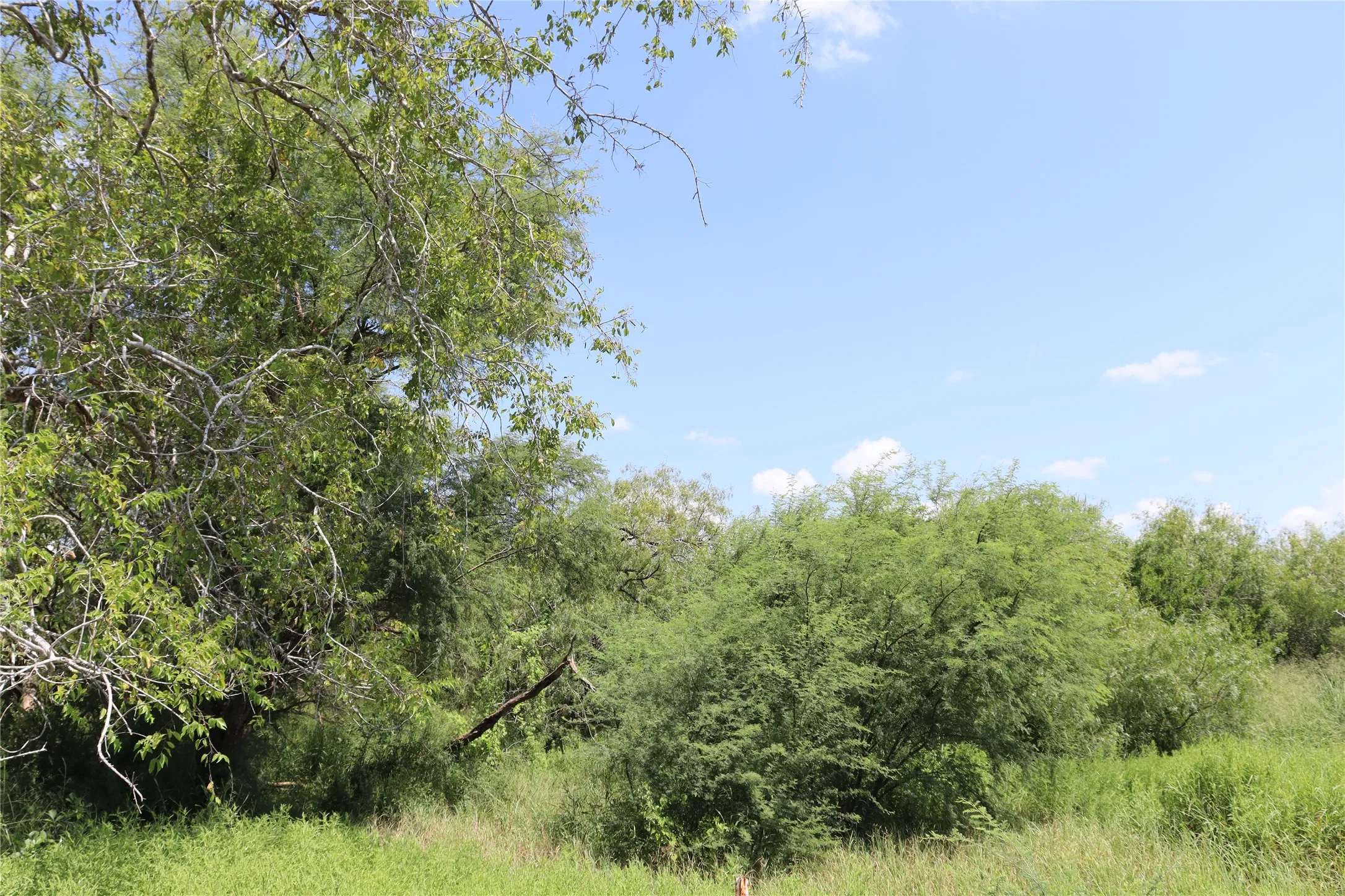 Unimproved Land For Sale in San Patricio County , 14135 County Road 1144, Sinton, Texas 78387, 0, 0, Garage spaces, 0 Sqft, built in 1950, mls#21080875, Real Estate Agent in Sinton, Homes For Sale in San Patricio county, Homes For Sale in Sinton, Realtor in Sinton Texas, Real Estate Brokerage Independent Realty Texas, Luminita Cordes Realtor