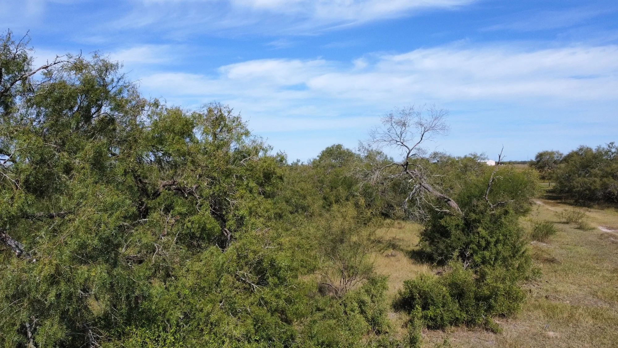 Unimproved Land For Sale in San Patricio County , 14135 County Road 1144, Sinton, Texas 78387, 0, 0, Garage spaces, 0 Sqft, built in 1950, mls#21080875, Real Estate Agent in Sinton, Homes For Sale in San Patricio county, Homes For Sale in Sinton, Realtor in Sinton Texas, Real Estate Brokerage Independent Realty Texas, Luminita Cordes Realtor