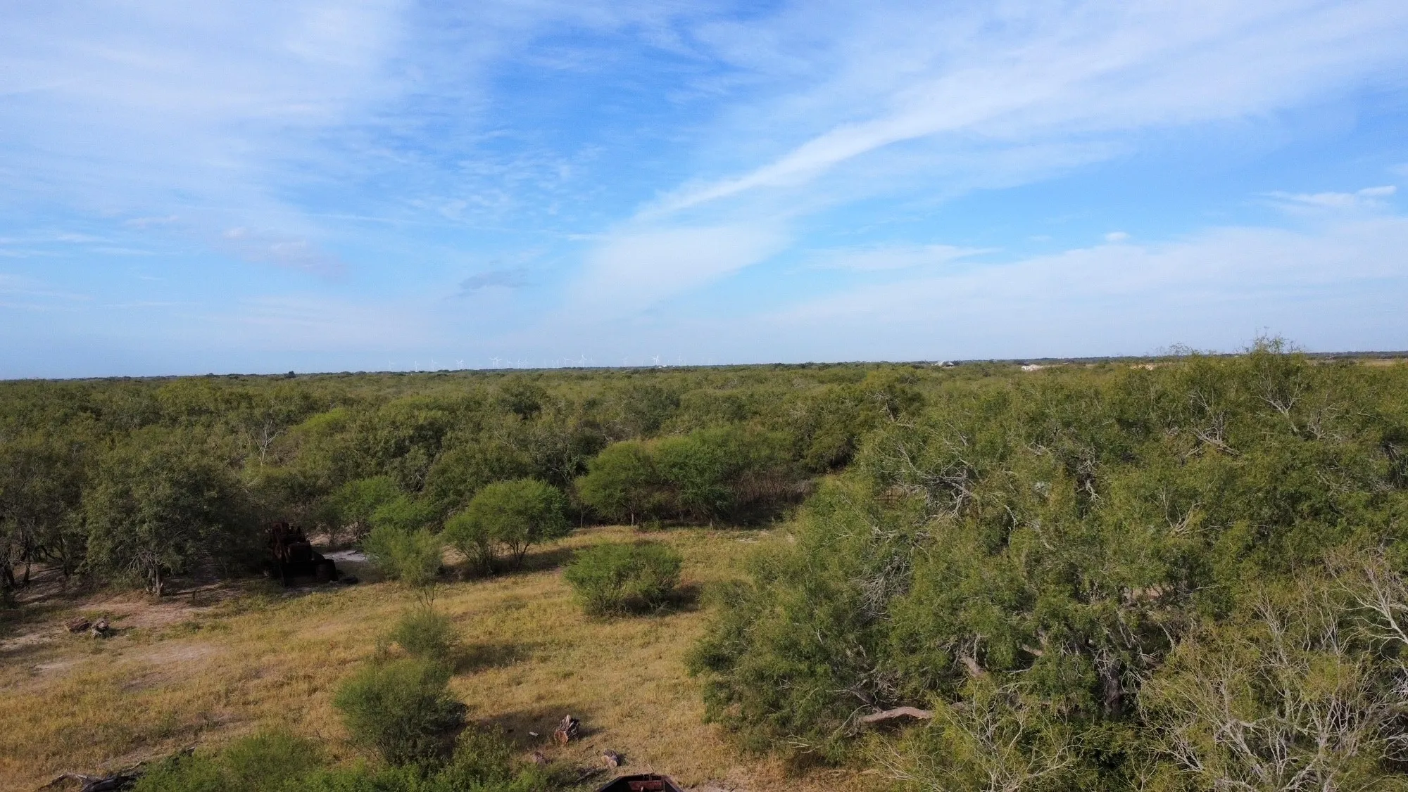 Unimproved Land For Sale in San Patricio County , 14135 County Road 1144, Sinton, Texas 78387, 0, 0, Garage spaces, 0 Sqft, built in 1950, mls#21080875, Real Estate Agent in Sinton, Homes For Sale in San Patricio county, Homes For Sale in Sinton, Realtor in Sinton Texas, Real Estate Brokerage Independent Realty Texas, Luminita Cordes Realtor