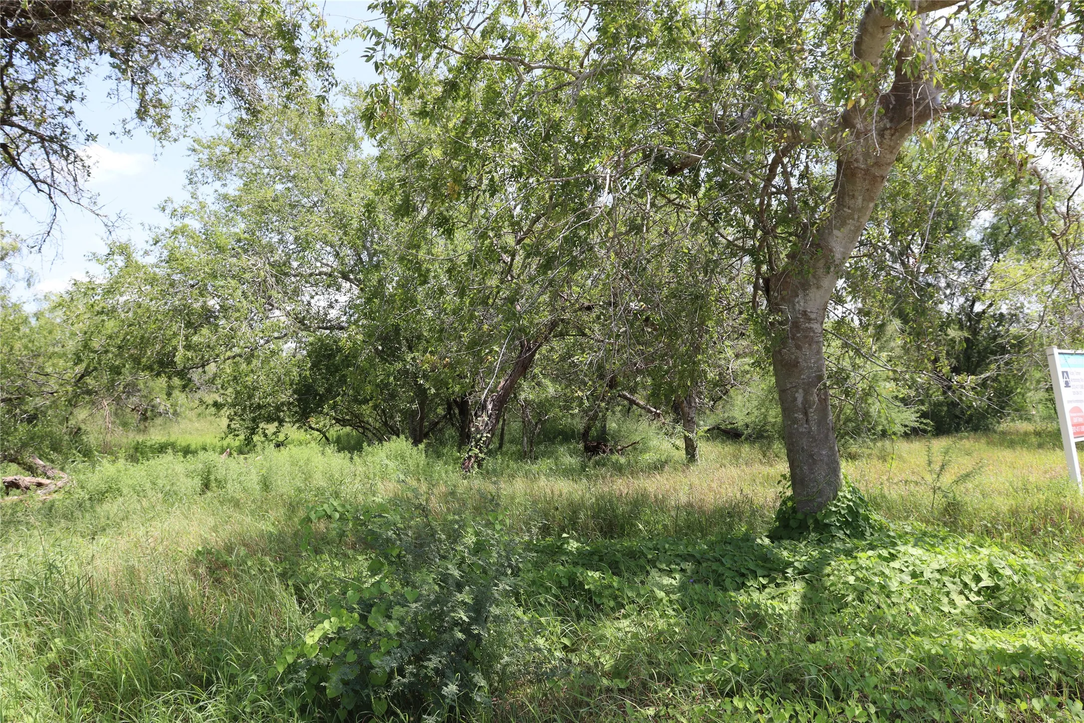 Unimproved Land For Sale in San Patricio County , 14135 County Road 1144, Sinton, Texas 78387, 0, 0, Garage spaces, 0 Sqft, built in 1950, mls#21080875, Real Estate Agent in Sinton, Homes For Sale in San Patricio county, Homes For Sale in Sinton, Realtor in Sinton Texas, Real Estate Brokerage Independent Realty Texas, Luminita Cordes Realtor