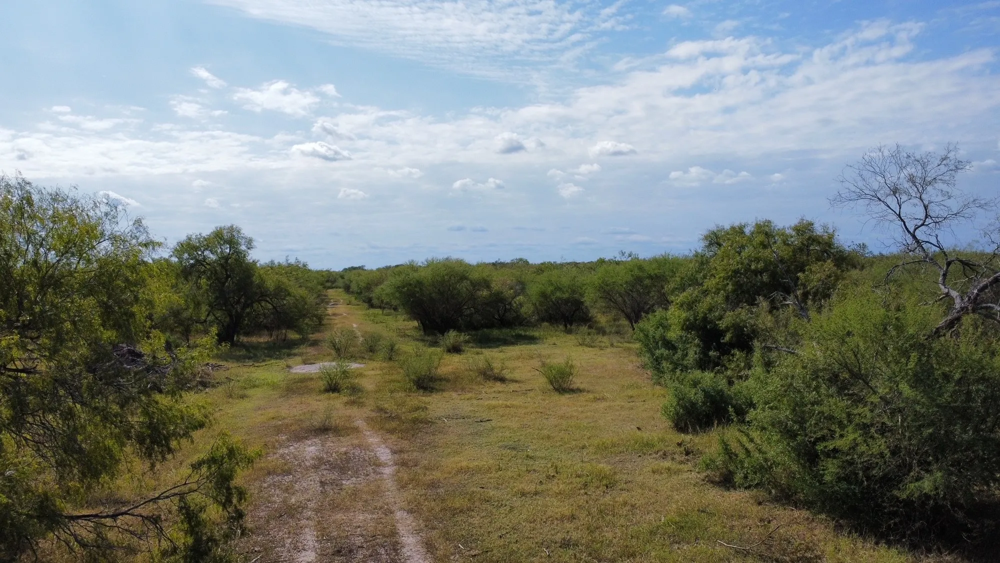 Unimproved Land For Sale in San Patricio County , 14135 County Road 1144, Sinton, Texas 78387, 0, 0, Garage spaces, 0 Sqft, built in 1950, mls#21080875, Real Estate Agent in Sinton, Homes For Sale in San Patricio county, Homes For Sale in Sinton, Realtor in Sinton Texas, Real Estate Brokerage Independent Realty Texas, Luminita Cordes Realtor