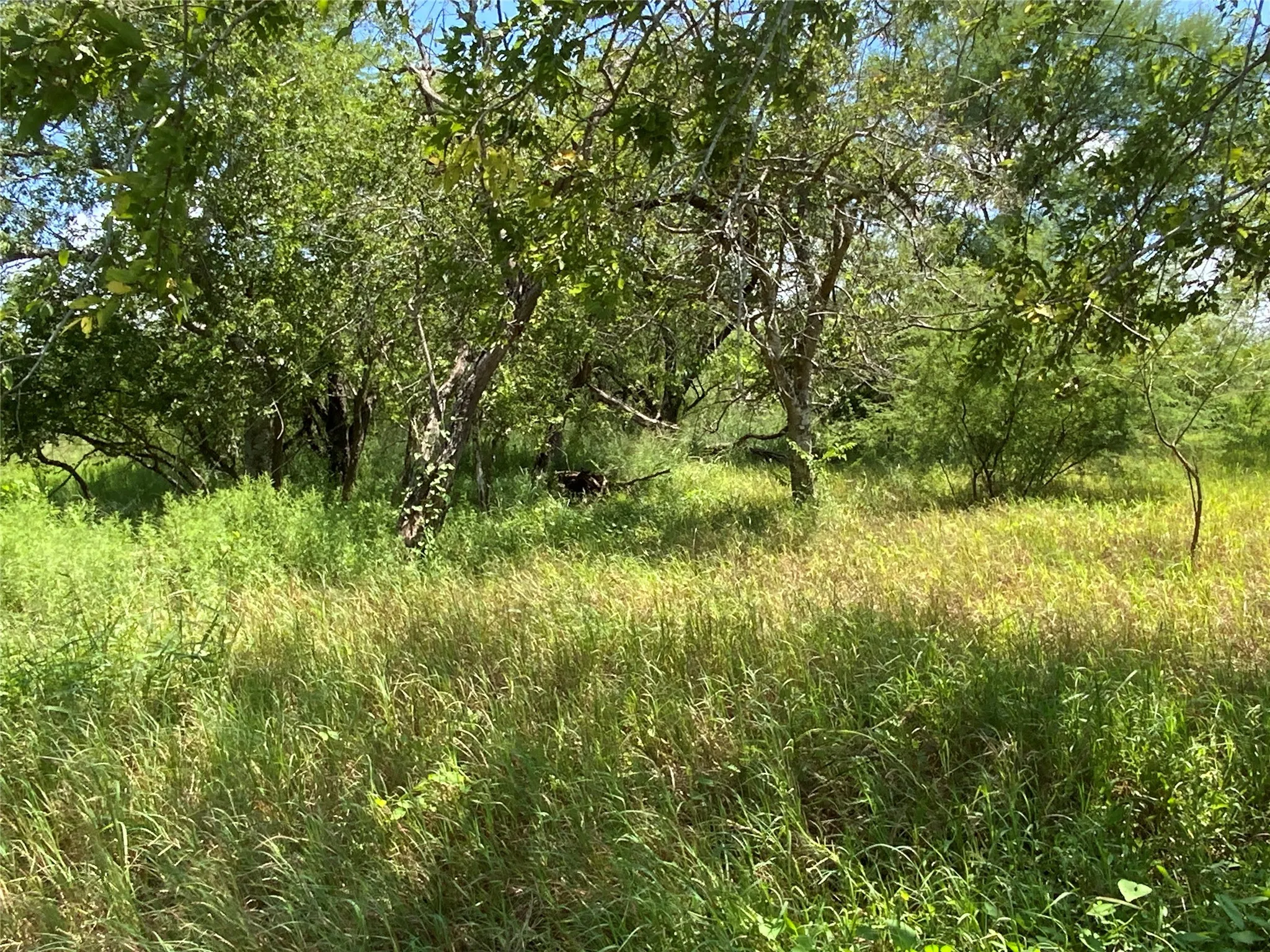 Unimproved Land For Sale in San Patricio County , 14135 County Road 1144, Sinton, Texas 78387, 0, 0, Garage spaces, 0 Sqft, built in 1950, mls#21080875, Real Estate Agent in Sinton, Homes For Sale in San Patricio county, Homes For Sale in Sinton, Realtor in Sinton Texas, Real Estate Brokerage Independent Realty Texas, Luminita Cordes Realtor