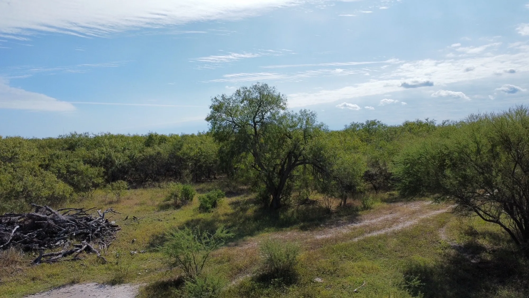 Unimproved Land For Sale in San Patricio County , 14135 County Road 1144, Sinton, Texas 78387, 0, 0, Garage spaces, 0 Sqft, built in 1950, mls#21080875, Real Estate Agent in Sinton, Homes For Sale in San Patricio county, Homes For Sale in Sinton, Realtor in Sinton Texas, Real Estate Brokerage Independent Realty Texas, Luminita Cordes Realtor