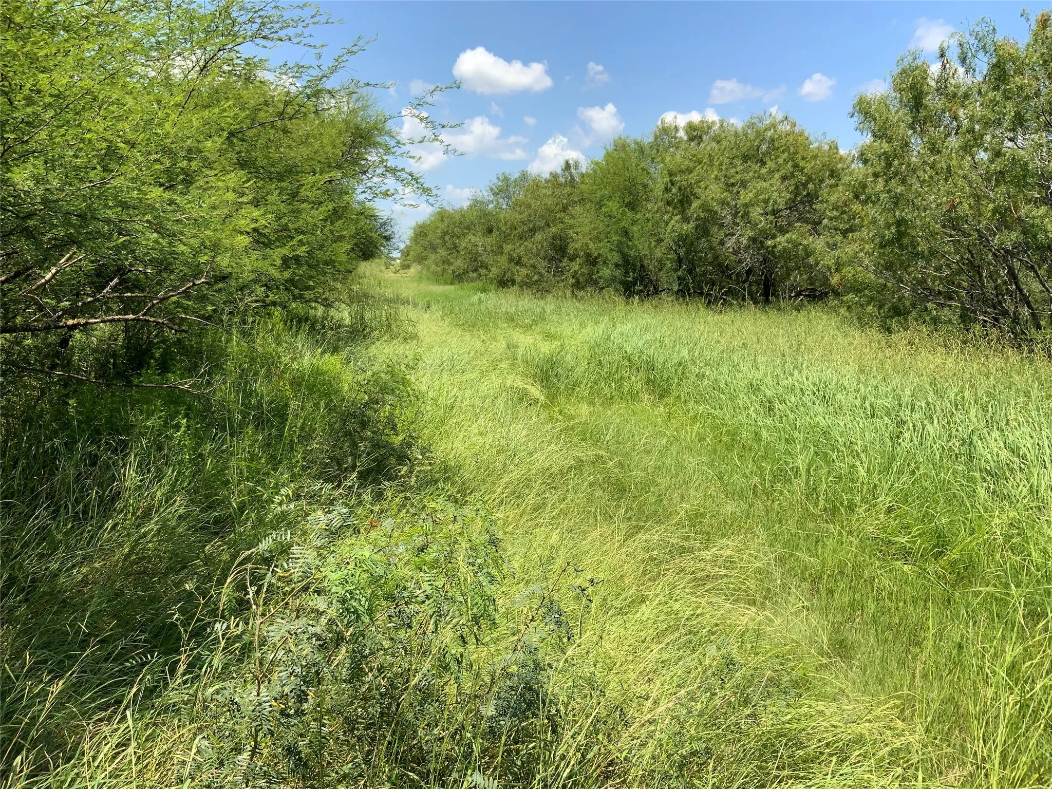Unimproved Land For Sale in San Patricio County , 14135 County Road 1144, Sinton, Texas 78387, 0, 0, Garage spaces, 0 Sqft, built in 1950, mls#21080875, Real Estate Agent in Sinton, Homes For Sale in San Patricio county, Homes For Sale in Sinton, Realtor in Sinton Texas, Real Estate Brokerage Independent Realty Texas, Luminita Cordes Realtor