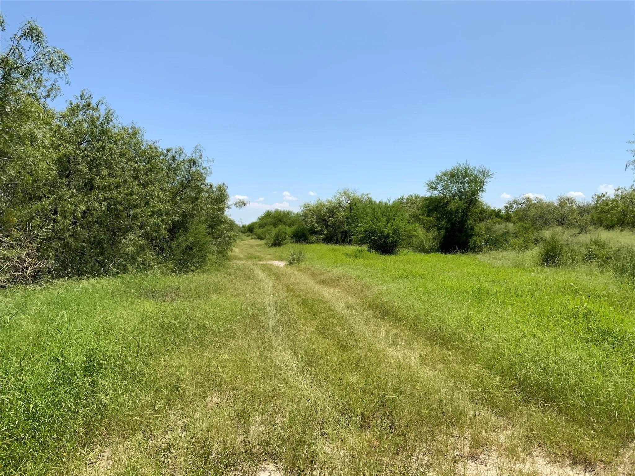Unimproved Land For Sale in San Patricio County , 14135 County Road 1144, Sinton, Texas 78387, 0, 0, Garage spaces, 0 Sqft, built in 1950, mls#21080875, Real Estate Agent in Sinton, Homes For Sale in San Patricio county, Homes For Sale in Sinton, Realtor in Sinton Texas, Real Estate Brokerage Independent Realty Texas, Luminita Cordes Realtor