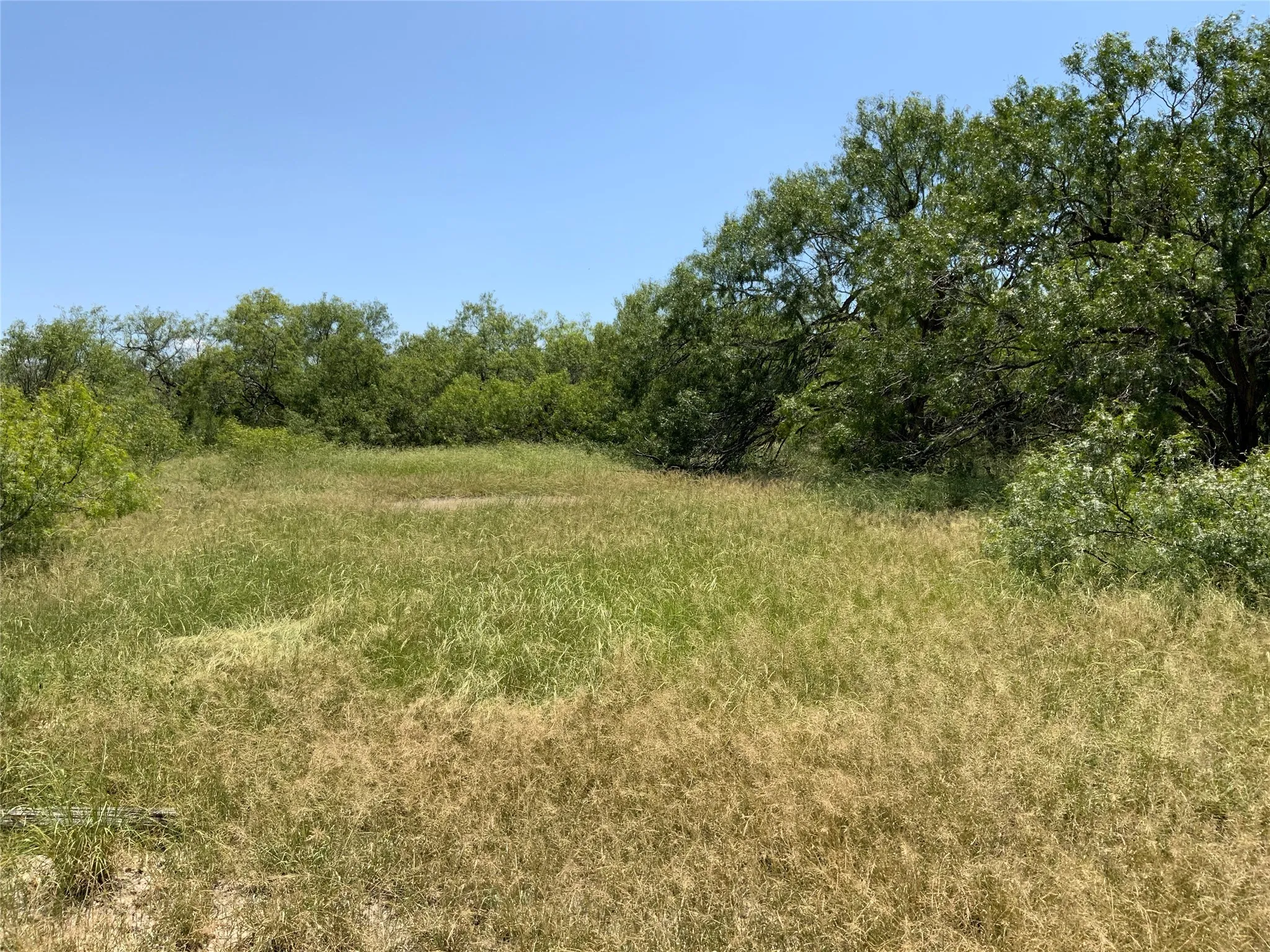 Unimproved Land For Sale in San Patricio County , 14135 County Road 1144, Sinton, Texas 78387, 0, 0, Garage spaces, 0 Sqft, built in 1950, mls#21080875, Real Estate Agent in Sinton, Homes For Sale in San Patricio county, Homes For Sale in Sinton, Realtor in Sinton Texas, Real Estate Brokerage Independent Realty Texas, Luminita Cordes Realtor