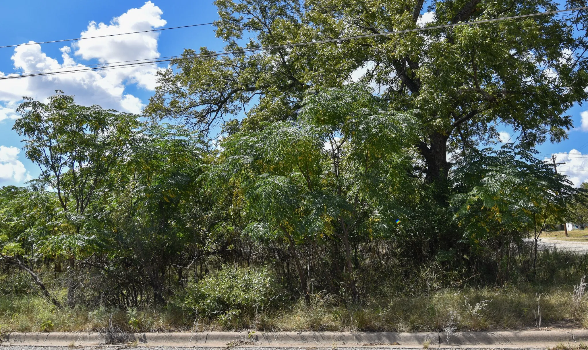 Unimproved Land For Sale in Mc Culloch County , 904 E 6th, Brady, Texas 76825, 0, 0, Garage spaces, 0 Sqft, built in 0, mls#21072665, Real Estate Agent in Brady, Homes For Sale in Mc Culloch county, Homes For Sale in Brady, Realtor in Brady Texas, Real Estate Brokerage Independent Realty Texas, Luminita Cordes Realtor