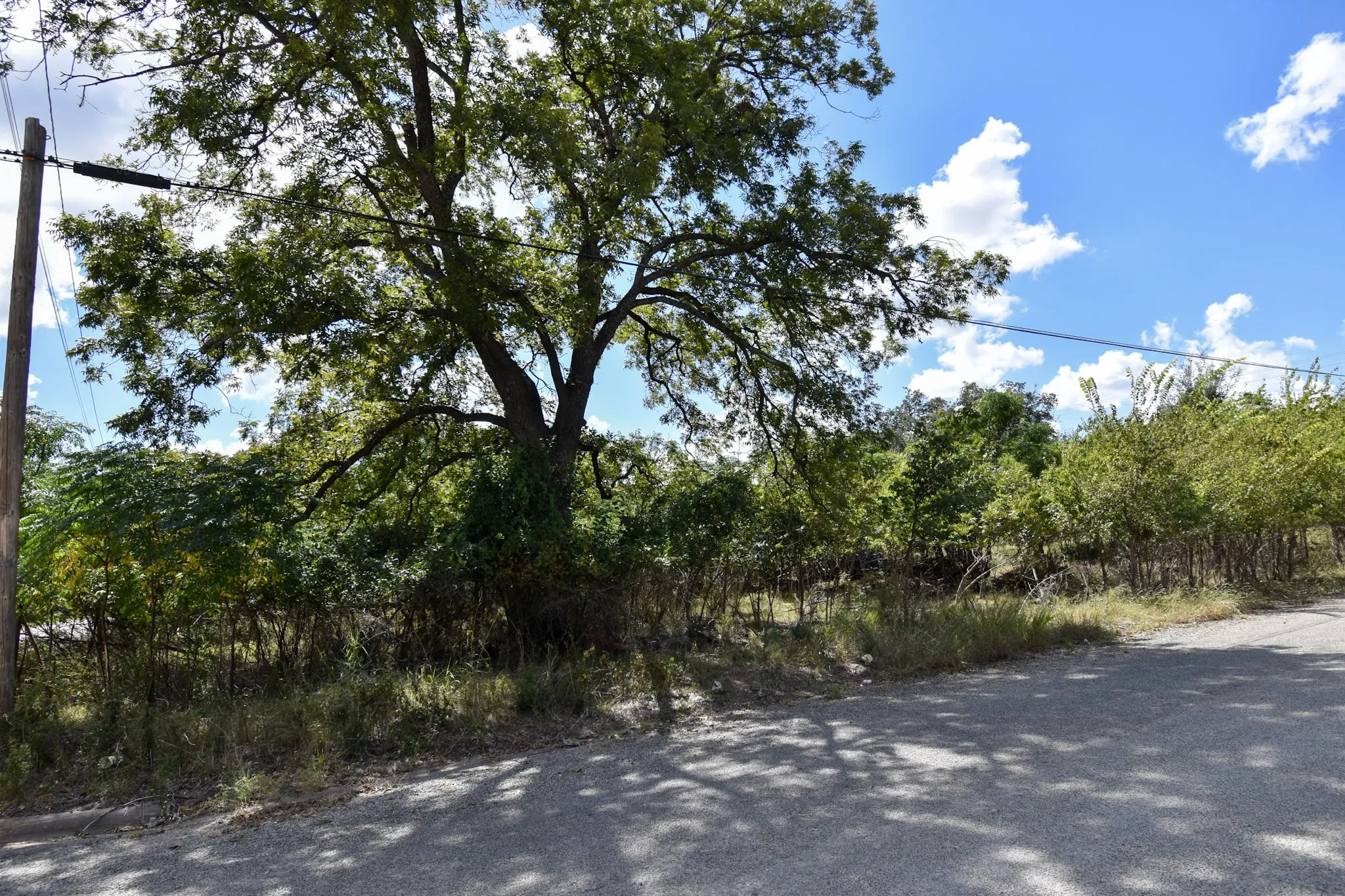 Unimproved Land For Sale in Mc Culloch County , 904 E 6th, Brady, Texas 76825, 0, 0, Garage spaces, 0 Sqft, built in 0, mls#21072665, Real Estate Agent in Brady, Homes For Sale in Mc Culloch county, Homes For Sale in Brady, Realtor in Brady Texas, Real Estate Brokerage Independent Realty Texas, Luminita Cordes Realtor