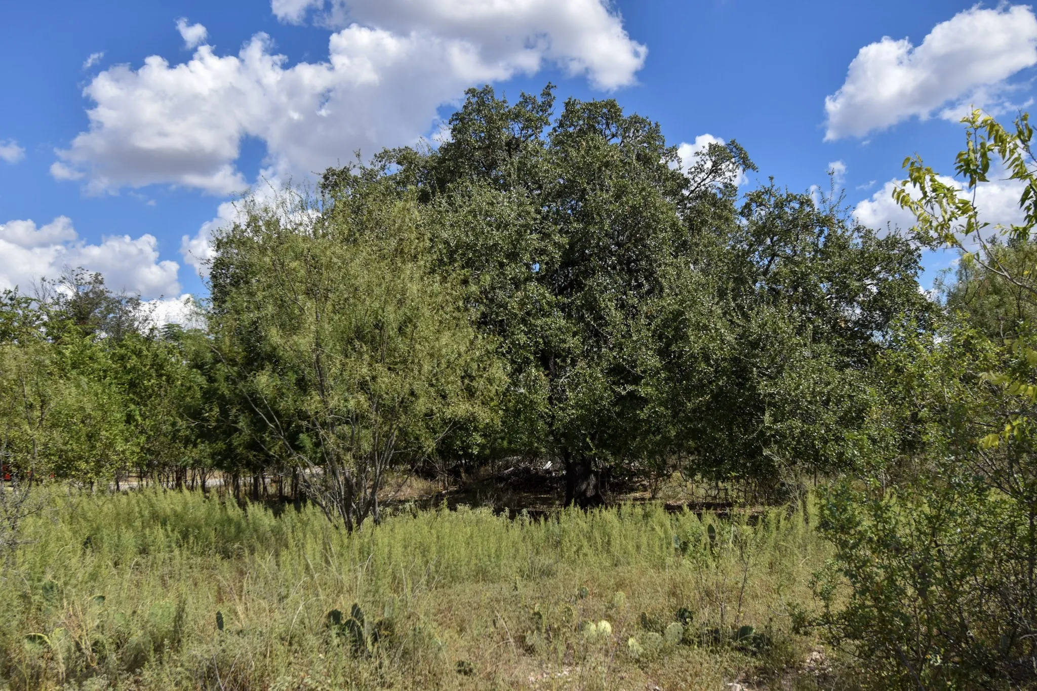 Unimproved Land For Sale in Mc Culloch County , 904 E 6th, Brady, Texas 76825, 0, 0, Garage spaces, 0 Sqft, built in 0, mls#21072665, Real Estate Agent in Brady, Homes For Sale in Mc Culloch county, Homes For Sale in Brady, Realtor in Brady Texas, Real Estate Brokerage Independent Realty Texas, Luminita Cordes Realtor