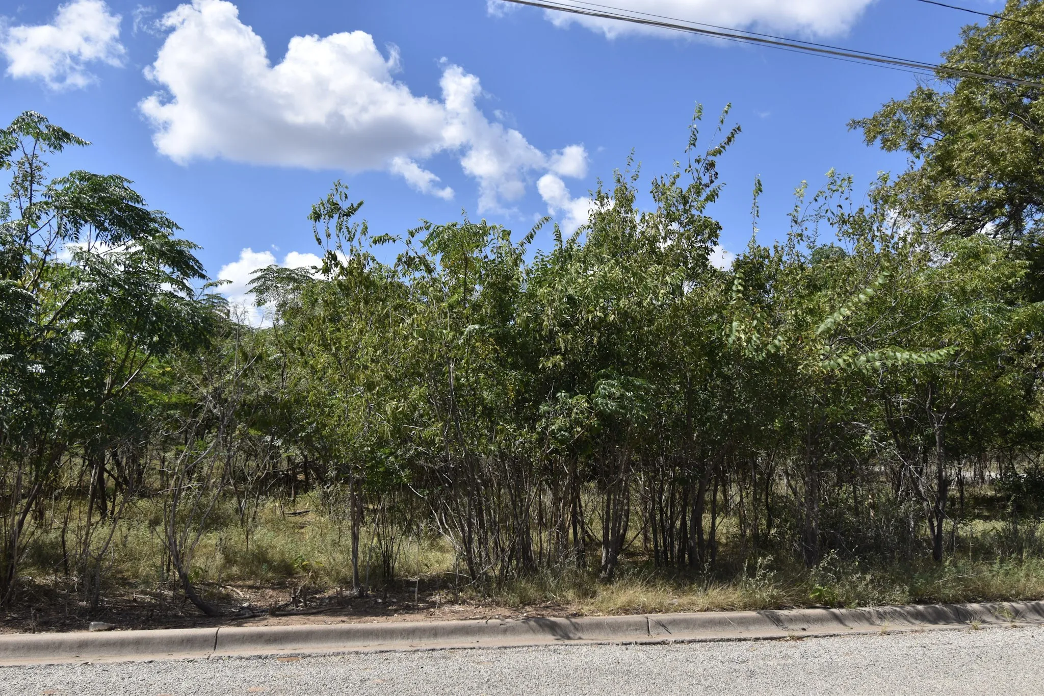Unimproved Land For Sale in Mc Culloch County , 904 E 6th, Brady, Texas 76825, 0, 0, Garage spaces, 0 Sqft, built in 0, mls#21072665, Real Estate Agent in Brady, Homes For Sale in Mc Culloch county, Homes For Sale in Brady, Realtor in Brady Texas, Real Estate Brokerage Independent Realty Texas, Luminita Cordes Realtor