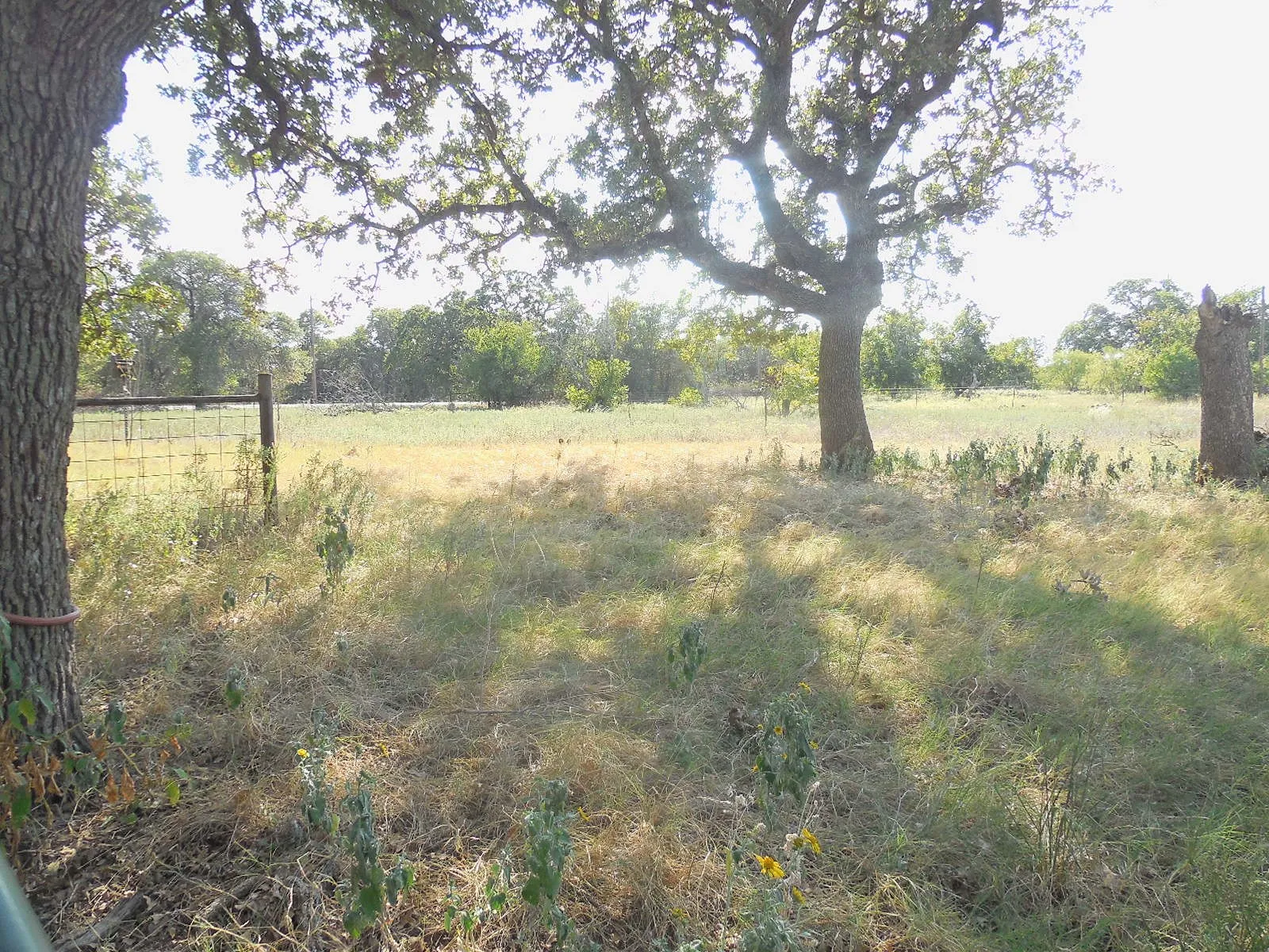 Farm For Sale in Eastland County , 2502 Highway 112, Eastland, Texas 76448, 3 Bedroom, 3 Bathroom, Garage spaces, 2,056 Sqft, built in 1950, Preowned, mls#21081081, Real Estate Agent in Eastland, Homes For Sale in Eastland county, Homes For Sale in Eastland, Realtor in Eastland Texas, Real Estate Brokerage Independent Realty Texas, Luminita Cordes Realtor