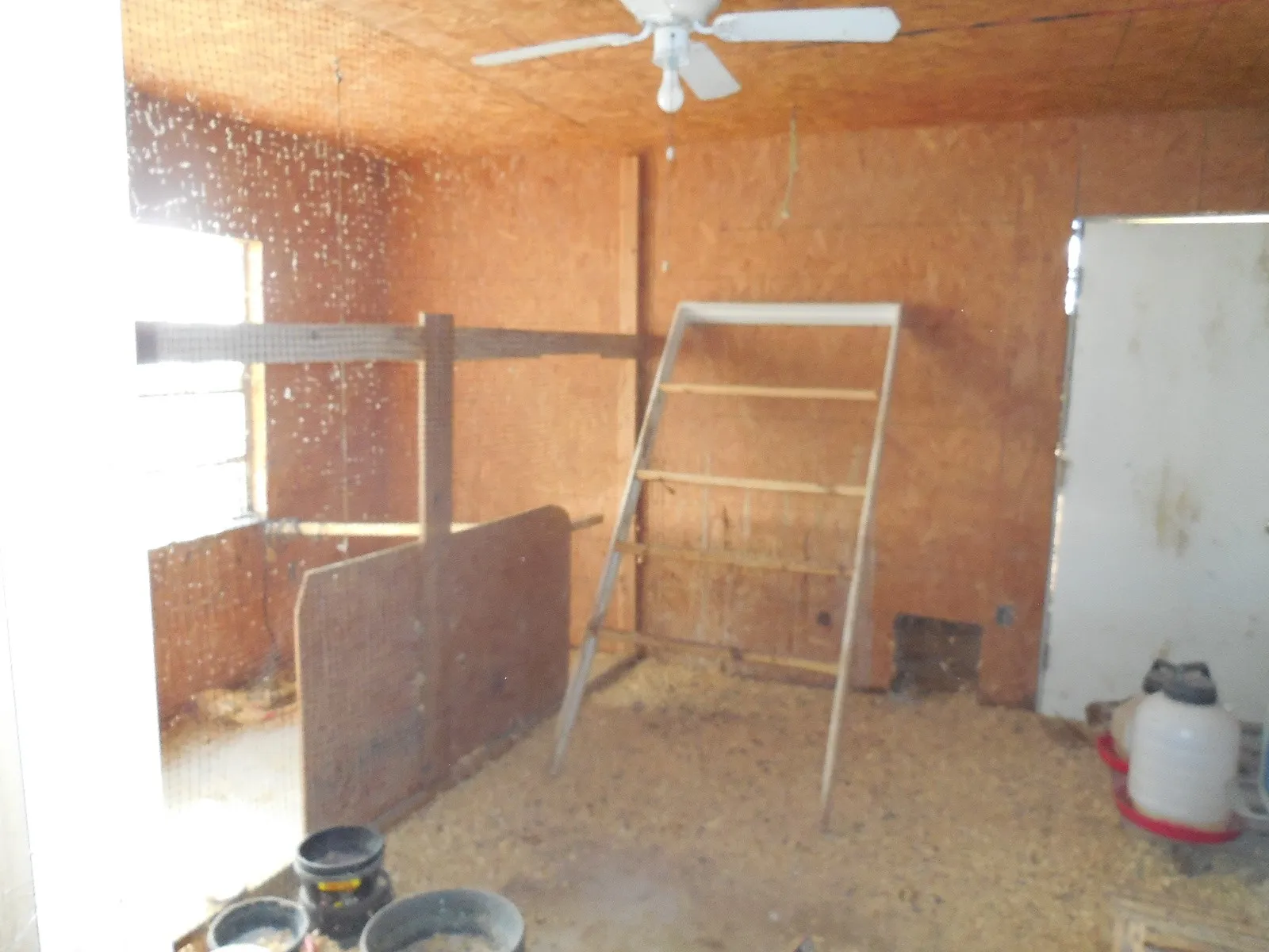 Storage or workshop. Used as chicken house.