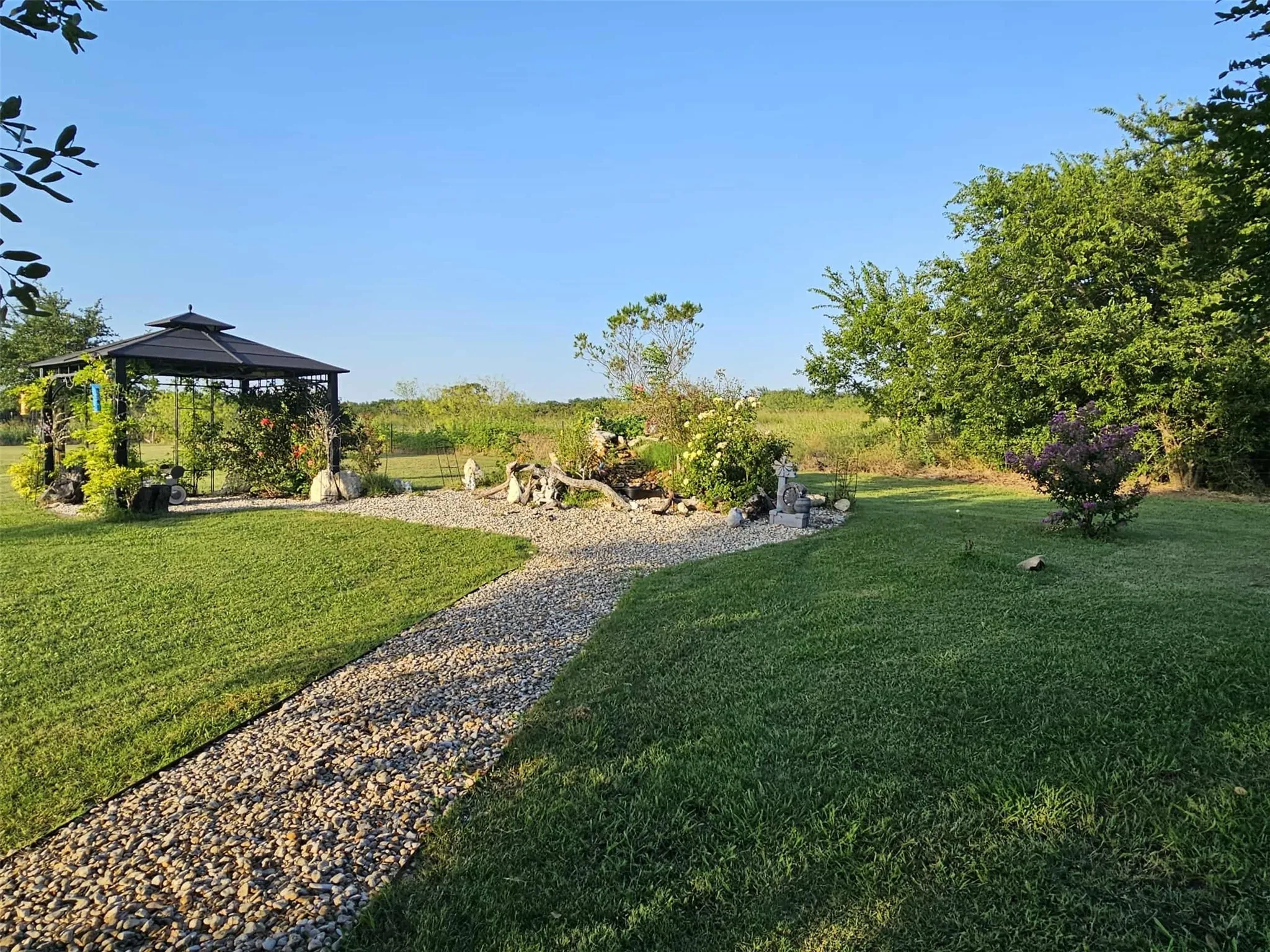 View of grassy yard