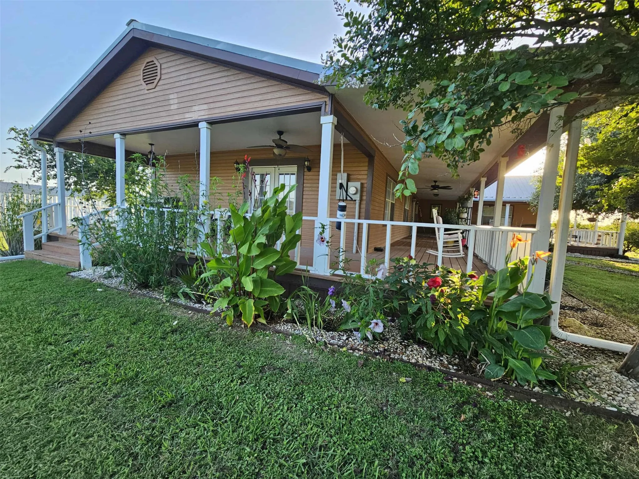 front view of property featuring a ceiling fan, a yard, and covered porch