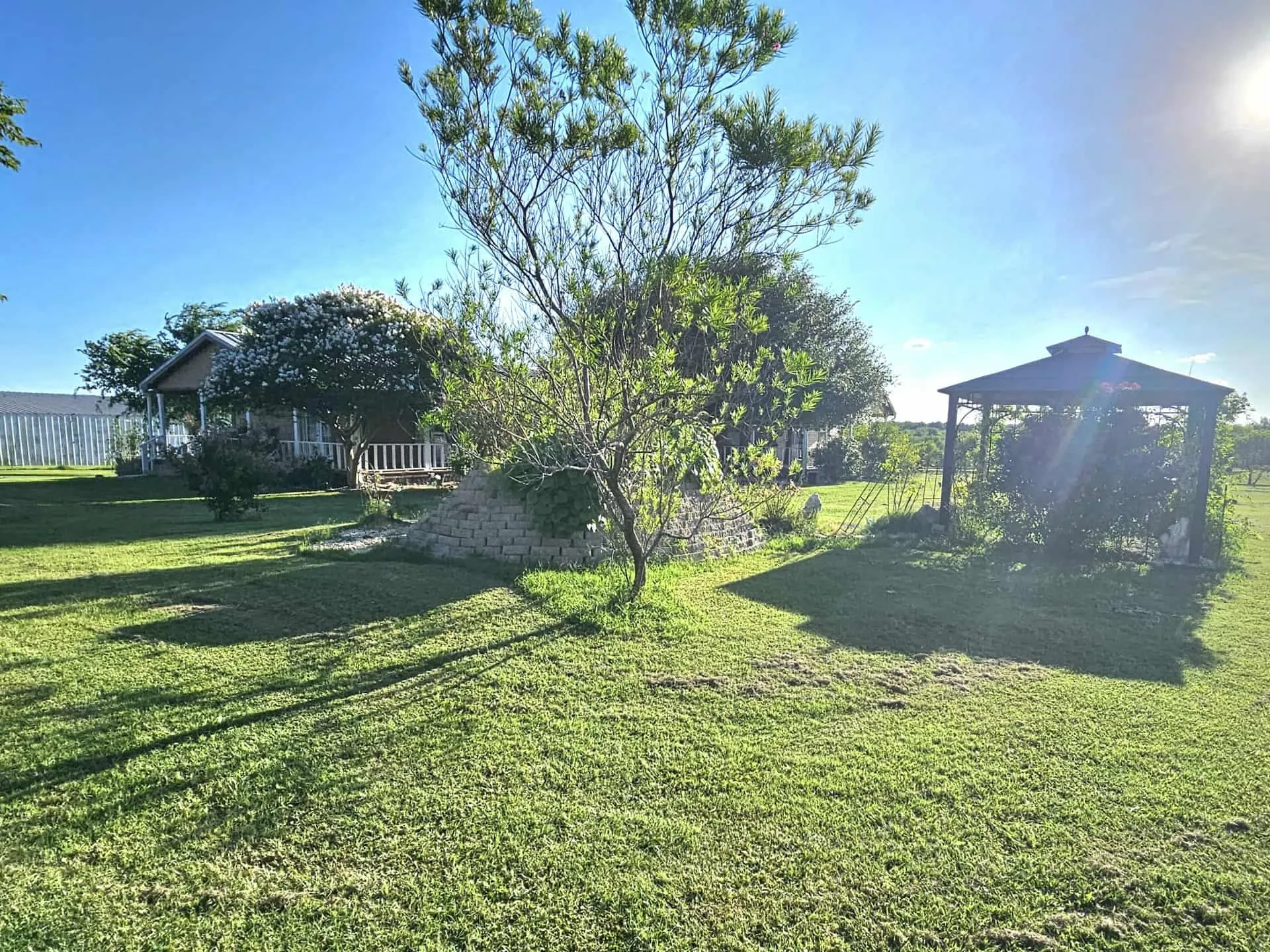 View of green lawn