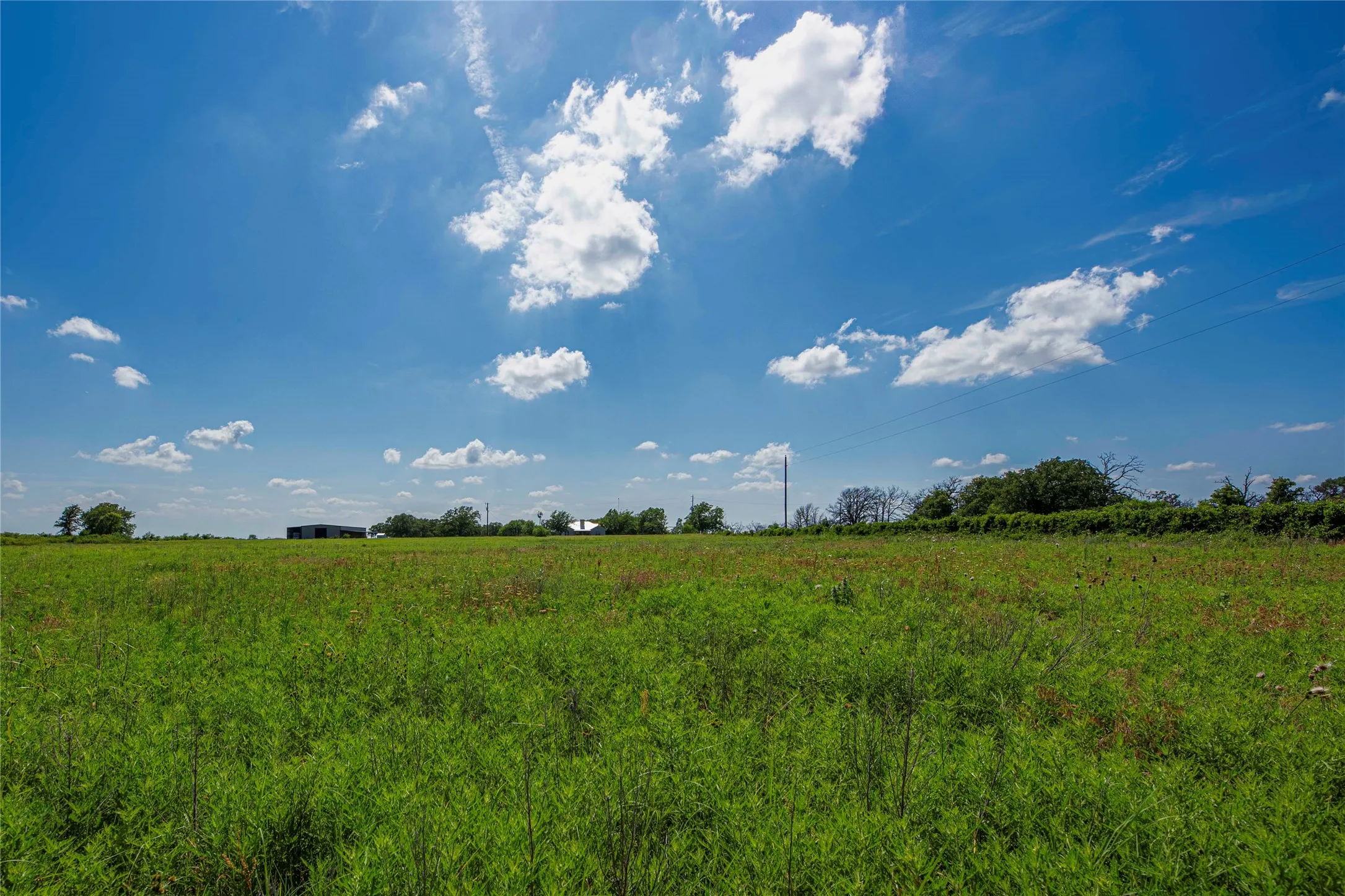 Ranch For Sale in Eastland County , 1217 HWY 2731, Rising Star, Texas 76471, 0, 0, Garage spaces, 0 Sqft, built in 1950, mls#21081139, Real Estate Agent in Rising Star, Homes For Sale in Eastland county, Homes For Sale in Rising Star, Realtor in Rising Star Texas, Real Estate Brokerage Independent Realty Texas, Luminita Cordes Realtor