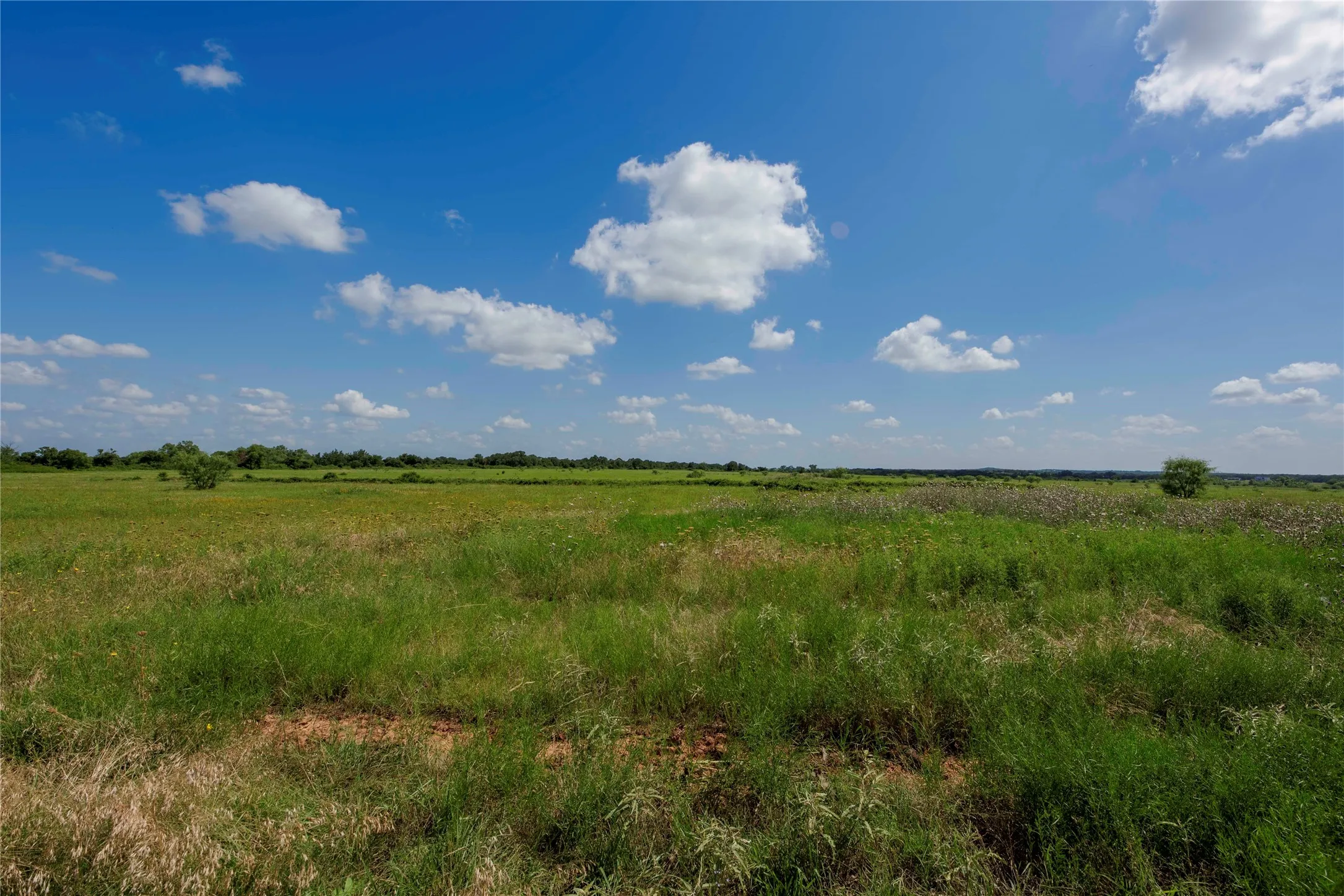 Ranch For Sale in Eastland County , 1217 HWY 2731, Rising Star, Texas 76471, 0, 0, Garage spaces, 0 Sqft, built in 1950, mls#21081139, Real Estate Agent in Rising Star, Homes For Sale in Eastland county, Homes For Sale in Rising Star, Realtor in Rising Star Texas, Real Estate Brokerage Independent Realty Texas, Luminita Cordes Realtor