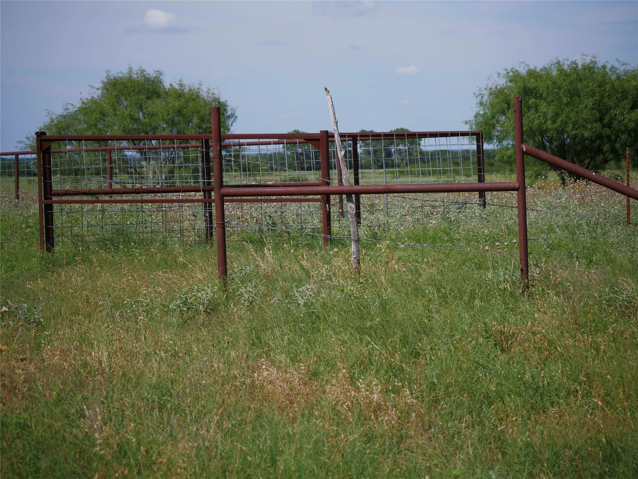 Ranch For Sale in Eastland County , 1217 HWY 2731, Rising Star, Texas 76471, 0, 0, Garage spaces, 0 Sqft, built in 1950, mls#21081139, Real Estate Agent in Rising Star, Homes For Sale in Eastland county, Homes For Sale in Rising Star, Realtor in Rising Star Texas, Real Estate Brokerage Independent Realty Texas, Luminita Cordes Realtor