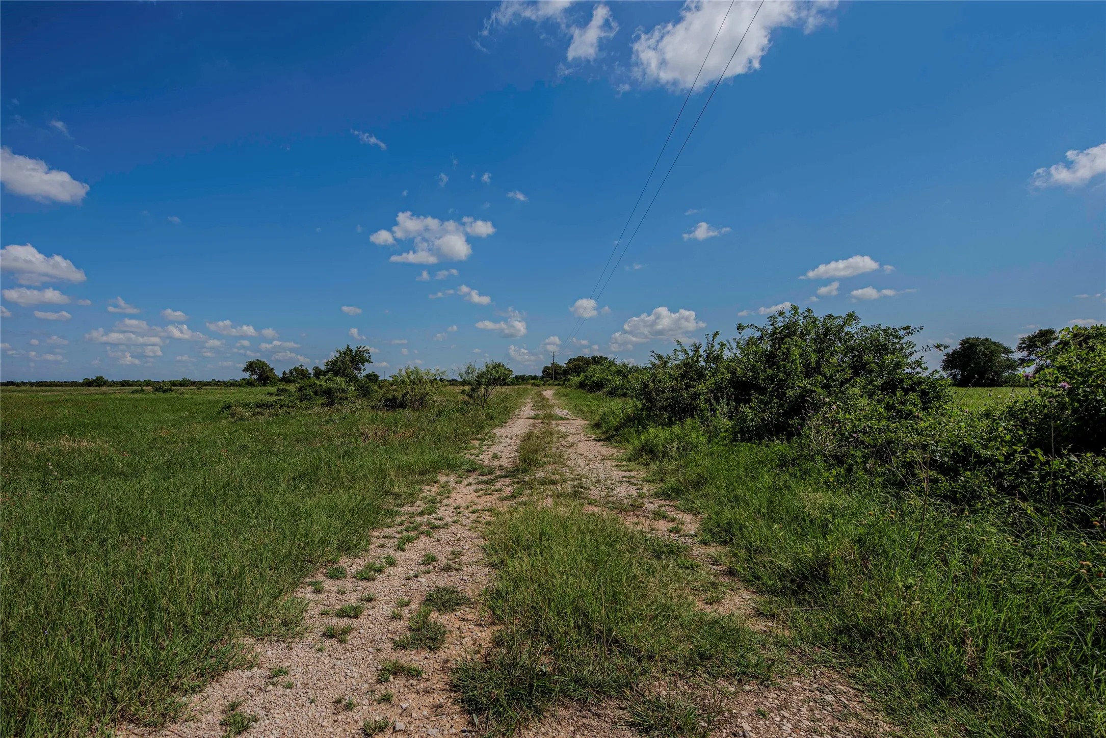 Ranch For Sale in Eastland County , 1217 HWY 2731, Rising Star, Texas 76471, 0, 0, Garage spaces, 0 Sqft, built in 1950, mls#21081139, Real Estate Agent in Rising Star, Homes For Sale in Eastland county, Homes For Sale in Rising Star, Realtor in Rising Star Texas, Real Estate Brokerage Independent Realty Texas, Luminita Cordes Realtor