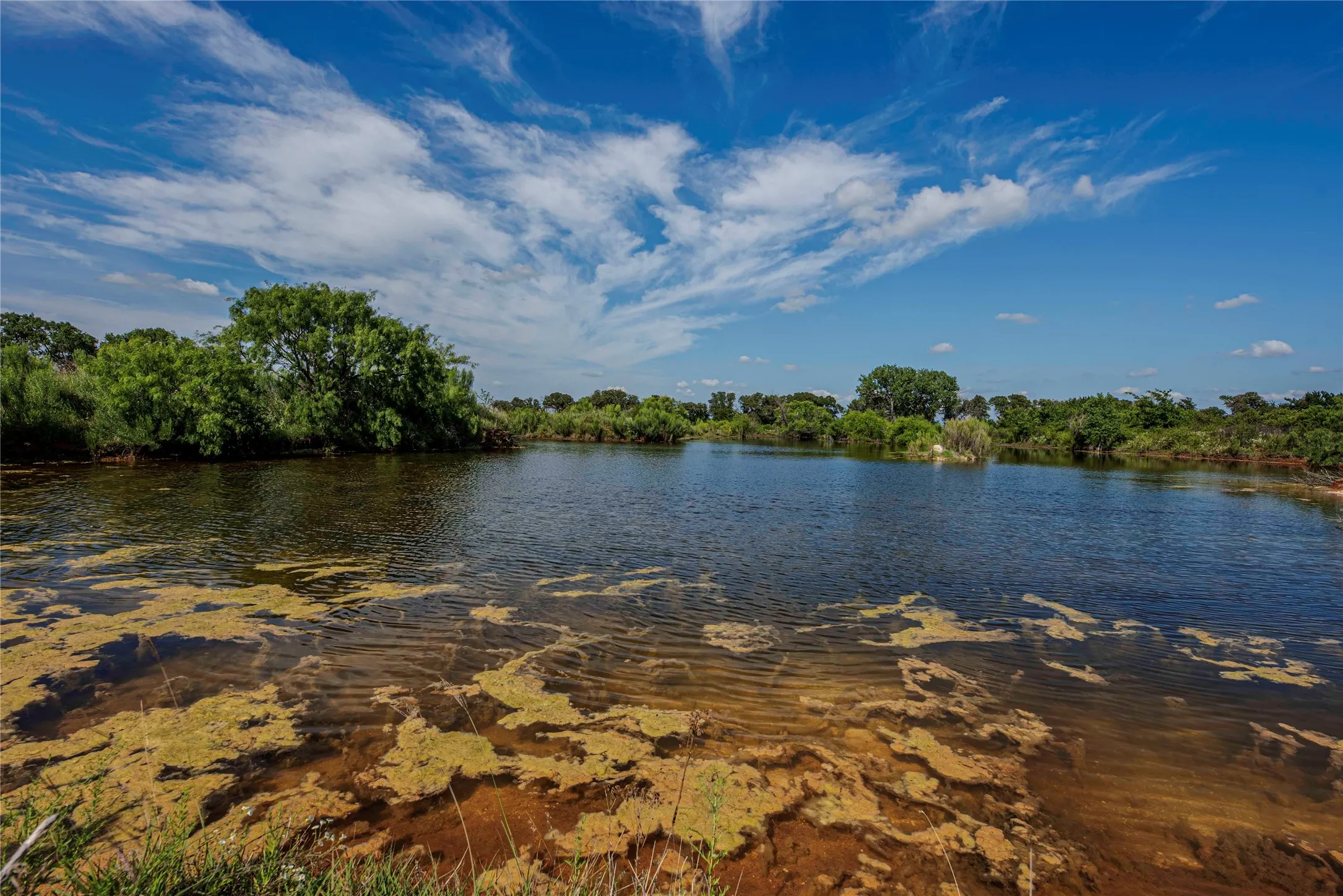 Ranch For Sale in Eastland County , 1217 HWY 2731, Rising Star, Texas 76471, 0, 0, Garage spaces, 0 Sqft, built in 1950, mls#21081139, Real Estate Agent in Rising Star, Homes For Sale in Eastland county, Homes For Sale in Rising Star, Realtor in Rising Star Texas, Real Estate Brokerage Independent Realty Texas, Luminita Cordes Realtor