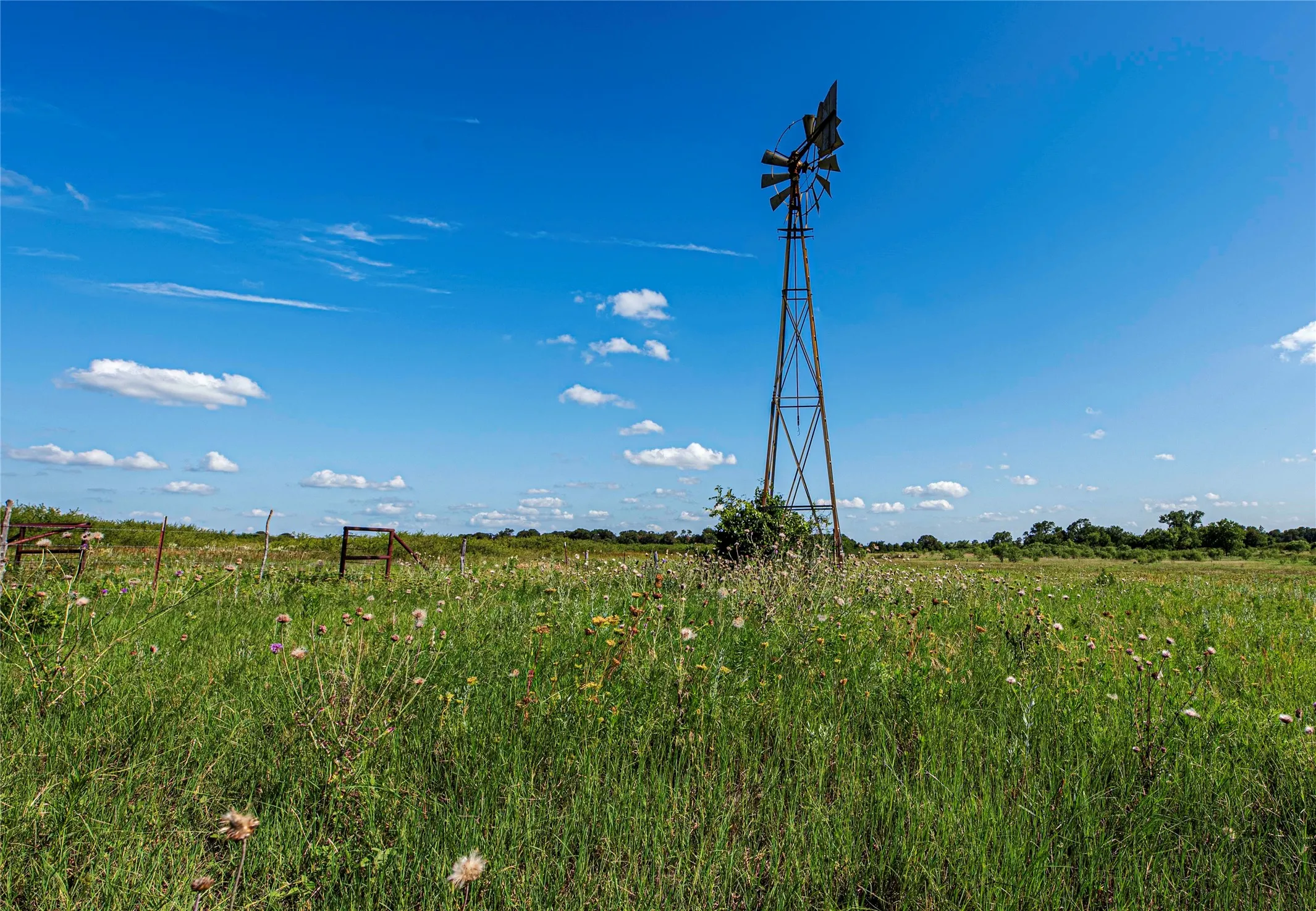 Ranch For Sale in Eastland County , 1217 HWY 2731, Rising Star, Texas 76471, 0, 0, Garage spaces, 0 Sqft, built in 1950, mls#21081139, Real Estate Agent in Rising Star, Homes For Sale in Eastland county, Homes For Sale in Rising Star, Realtor in Rising Star Texas, Real Estate Brokerage Independent Realty Texas, Luminita Cordes Realtor