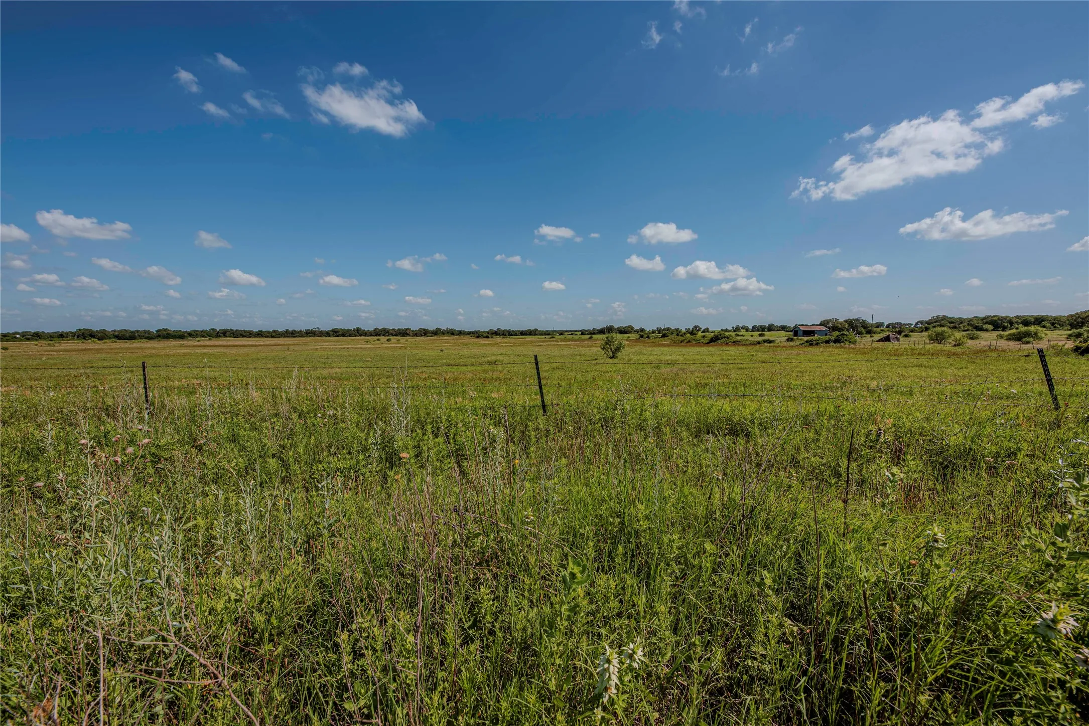 Ranch For Sale in Eastland County , 1217 HWY 2731, Rising Star, Texas 76471, 0, 0, Garage spaces, 0 Sqft, built in 1950, mls#21081139, Real Estate Agent in Rising Star, Homes For Sale in Eastland county, Homes For Sale in Rising Star, Realtor in Rising Star Texas, Real Estate Brokerage Independent Realty Texas, Luminita Cordes Realtor