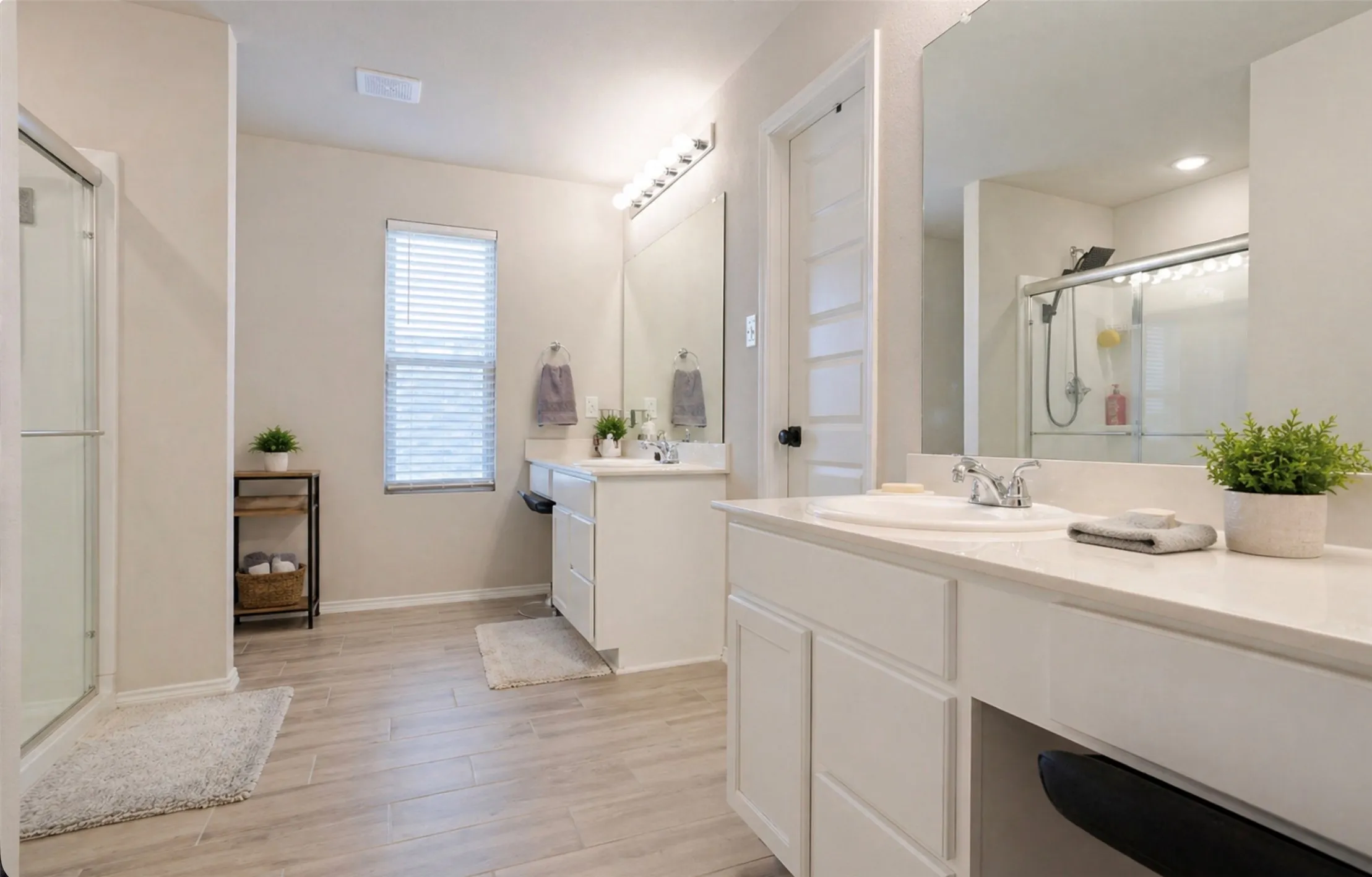 Primary bathroom