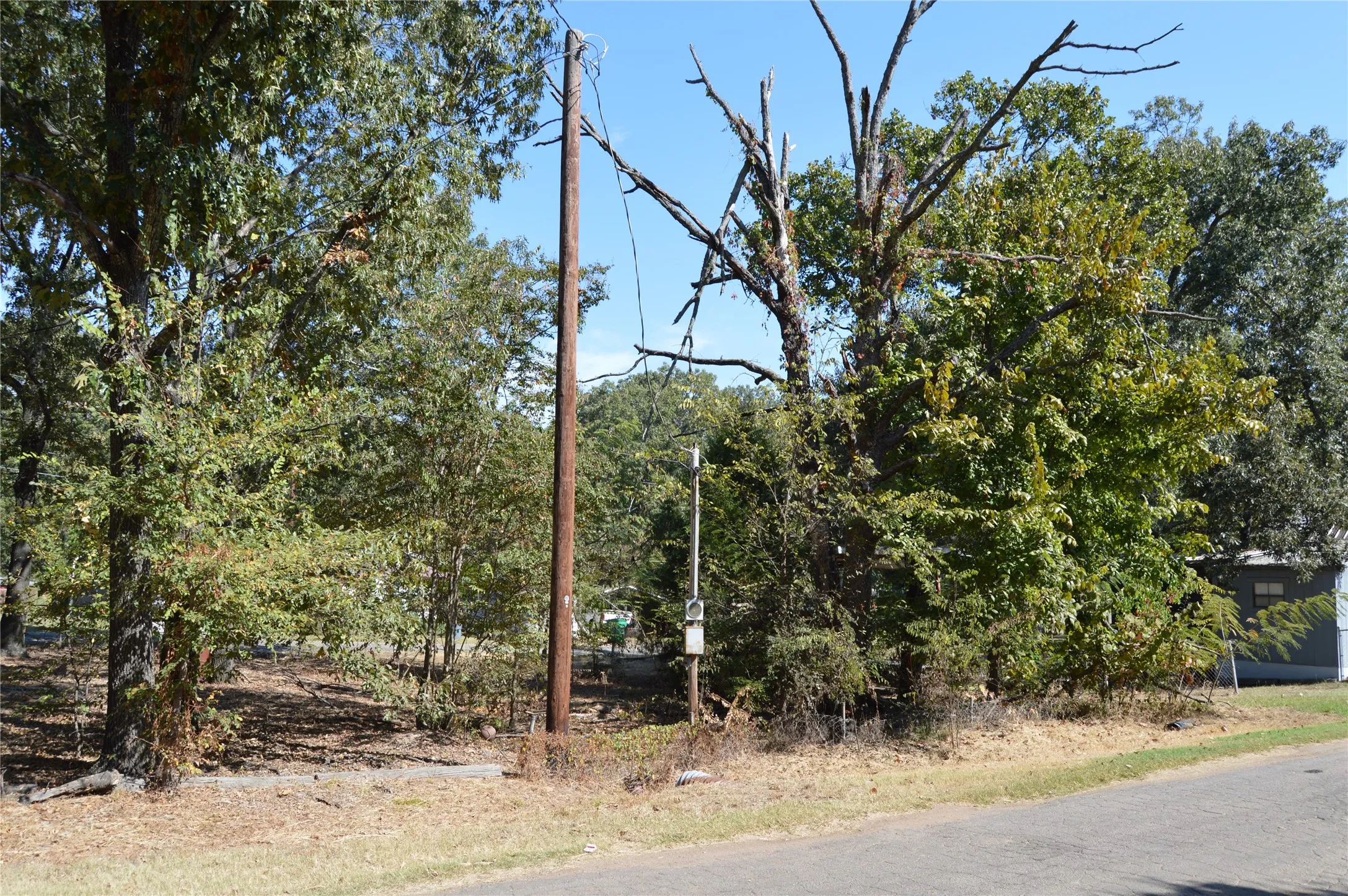 Unimproved Land For Sale in Rains County , TBD Private Road 7704 Road 7704, Emory, Texas 75440, 0, 0, Garage spaces, 0 Sqft, built in 0, Price $32,500, mls#21081828, Real Estate Agent in Emory, Homes For Sale in Rains county, Homes For Sale in Emory, Realtor in Emory Texas, Real Estate Brokerage Independent Realty Texas, Luminita Cordes Realtor