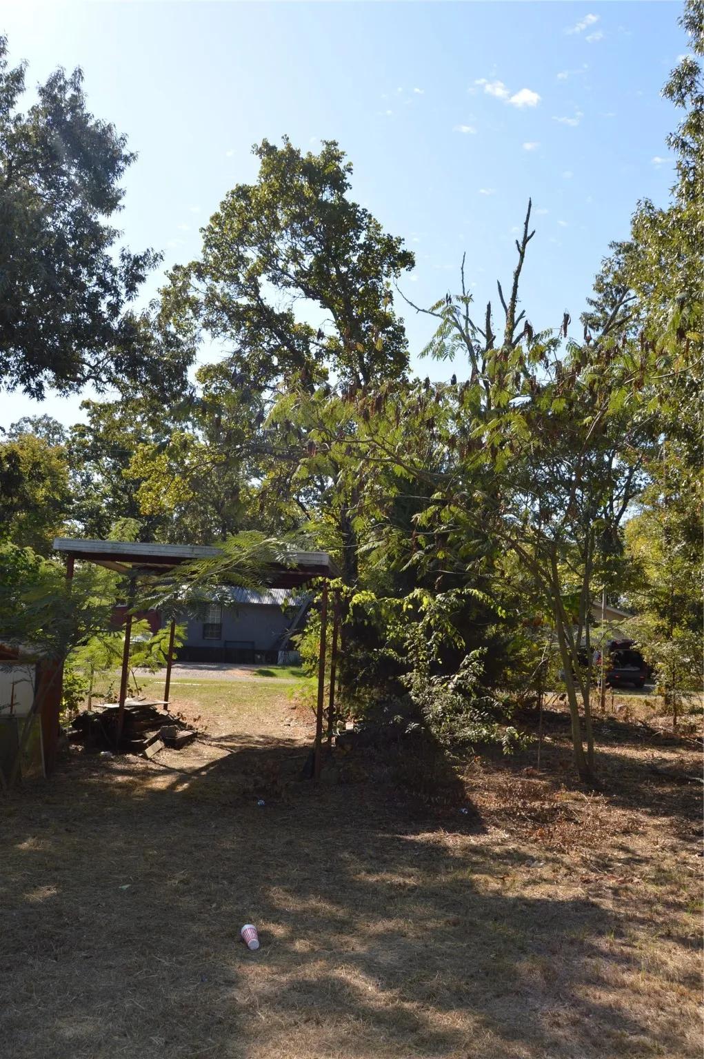 Unimproved Land For Sale in Rains County , TBD Private Road 7704 Road 7704, Emory, Texas 75440, 0, 0, Garage spaces, 0 Sqft, built in 0, Price $32,500, mls#21081828, Real Estate Agent in Emory, Homes For Sale in Rains county, Homes For Sale in Emory, Realtor in Emory Texas, Real Estate Brokerage Independent Realty Texas, Luminita Cordes Realtor