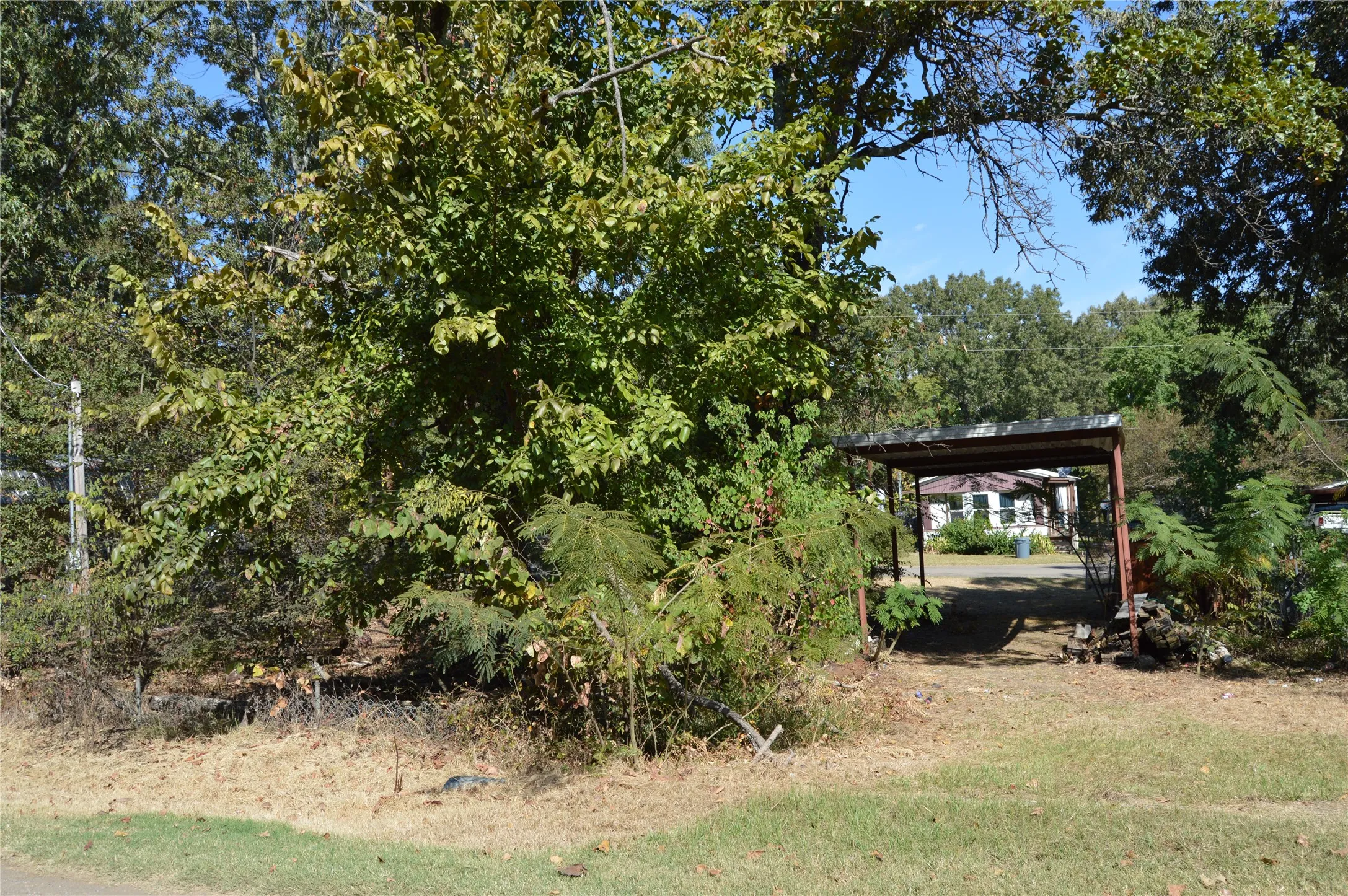 Unimproved Land For Sale in Rains County , TBD Private Road 7704 Road 7704, Emory, Texas 75440, 0, 0, Garage spaces, 0 Sqft, built in 0, Price $32,500, mls#21081828, Real Estate Agent in Emory, Homes For Sale in Rains county, Homes For Sale in Emory, Realtor in Emory Texas, Real Estate Brokerage Independent Realty Texas, Luminita Cordes Realtor