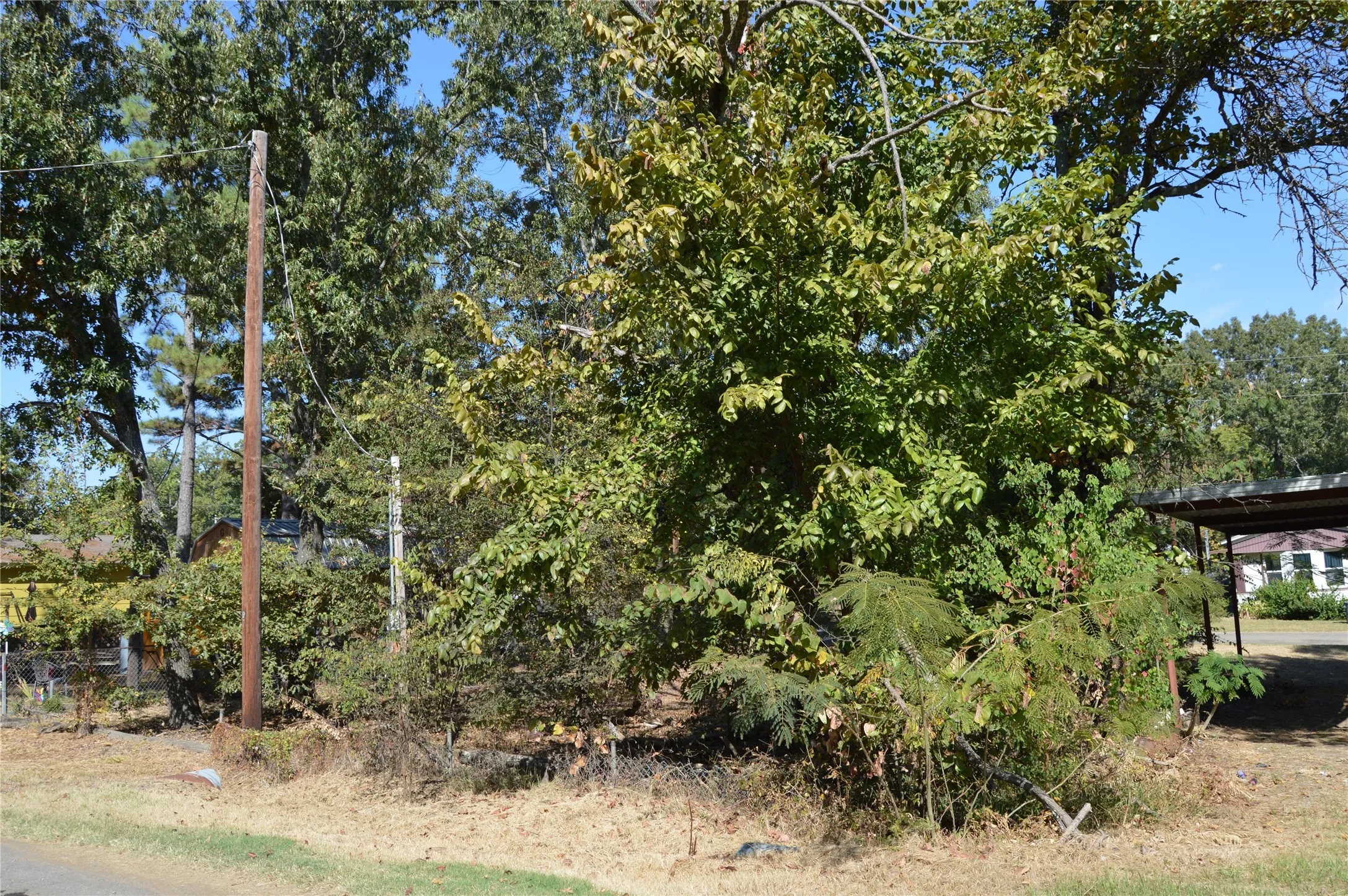 Unimproved Land For Sale in Rains County , TBD Private Road 7704 Road 7704, Emory, Texas 75440, 0, 0, Garage spaces, 0 Sqft, built in 0, Price $32,500, mls#21081828, Real Estate Agent in Emory, Homes For Sale in Rains county, Homes For Sale in Emory, Realtor in Emory Texas, Real Estate Brokerage Independent Realty Texas, Luminita Cordes Realtor