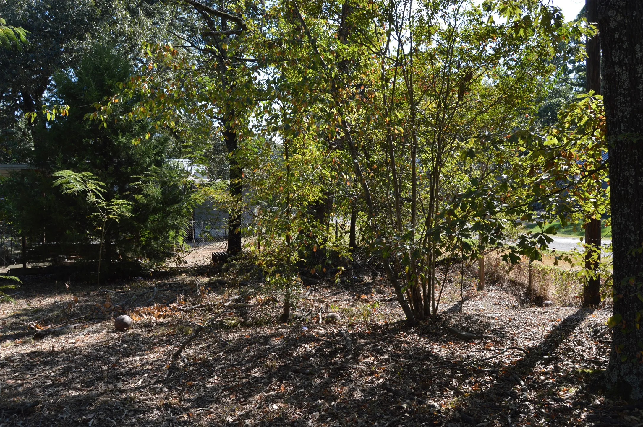 Unimproved Land For Sale in Rains County , TBD Private Road 7704 Road 7704, Emory, Texas 75440, 0, 0, Garage spaces, 0 Sqft, built in 0, Price $32,500, mls#21081828, Real Estate Agent in Emory, Homes For Sale in Rains county, Homes For Sale in Emory, Realtor in Emory Texas, Real Estate Brokerage Independent Realty Texas, Luminita Cordes Realtor