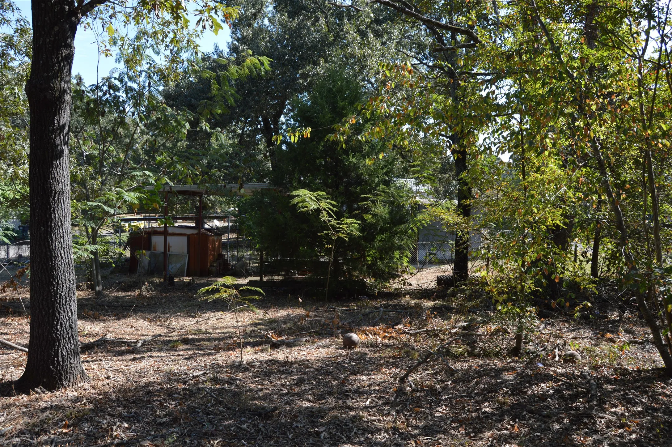 Unimproved Land For Sale in Rains County , TBD Private Road 7704 Road 7704, Emory, Texas 75440, 0, 0, Garage spaces, 0 Sqft, built in 0, Price $32,500, mls#21081828, Real Estate Agent in Emory, Homes For Sale in Rains county, Homes For Sale in Emory, Realtor in Emory Texas, Real Estate Brokerage Independent Realty Texas, Luminita Cordes Realtor