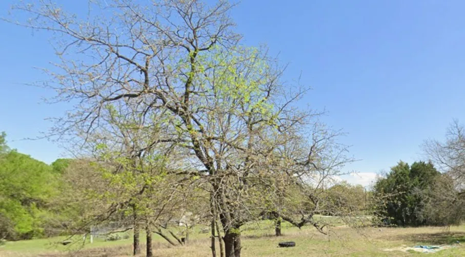 Unimproved Land For Sale in Hood County , 3801 California Court, Granbury, Texas 76048, 0, 0, Garage spaces, 0 Sqft, built in 0, mls#21081946, Real Estate Agent in Granbury, Homes For Sale in Hood county, Homes For Sale in Granbury, Realtor in Granbury Texas, Real Estate Brokerage Independent Realty Texas, Luminita Cordes Realtor