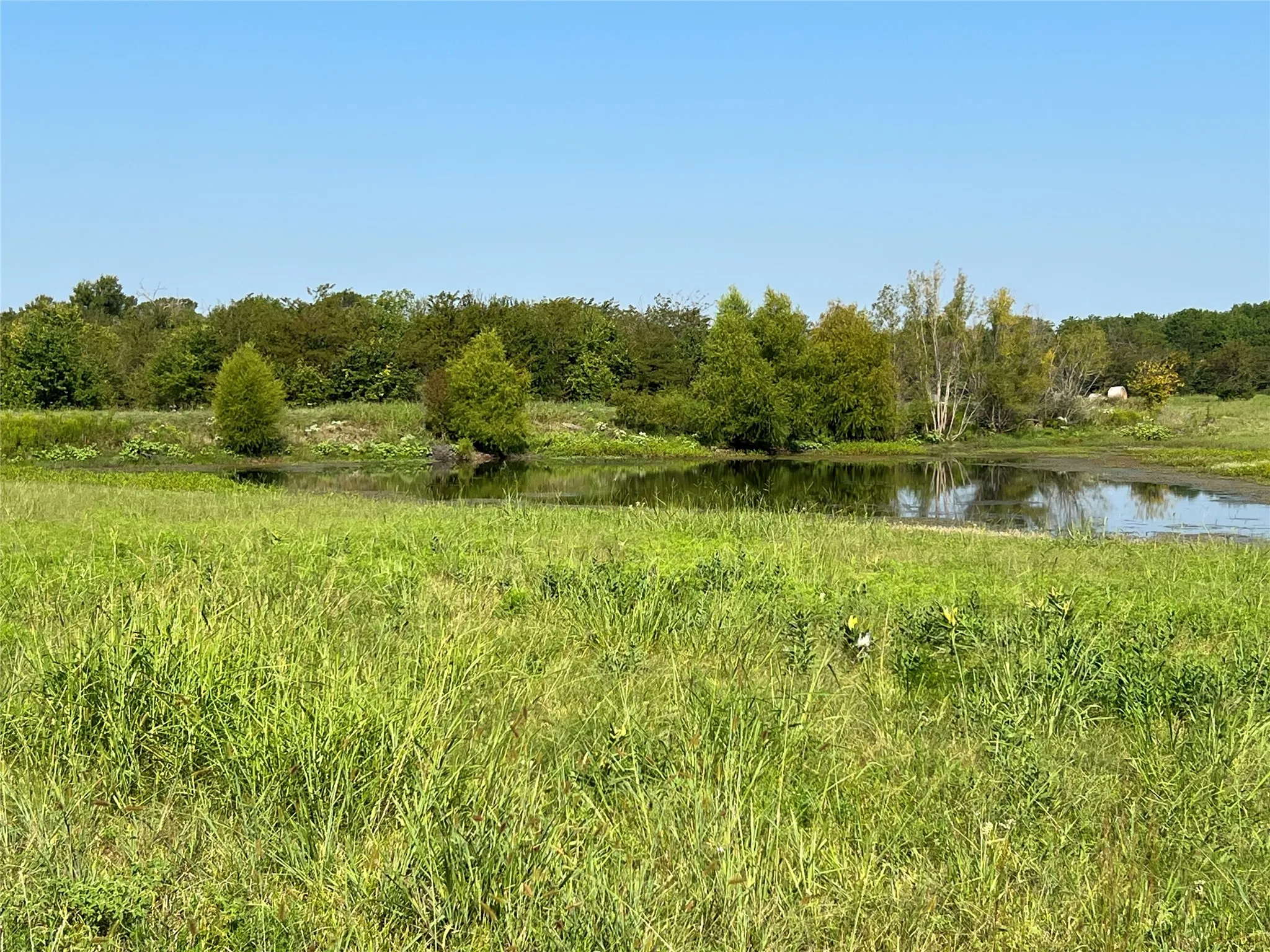 View of woods featuring a water view